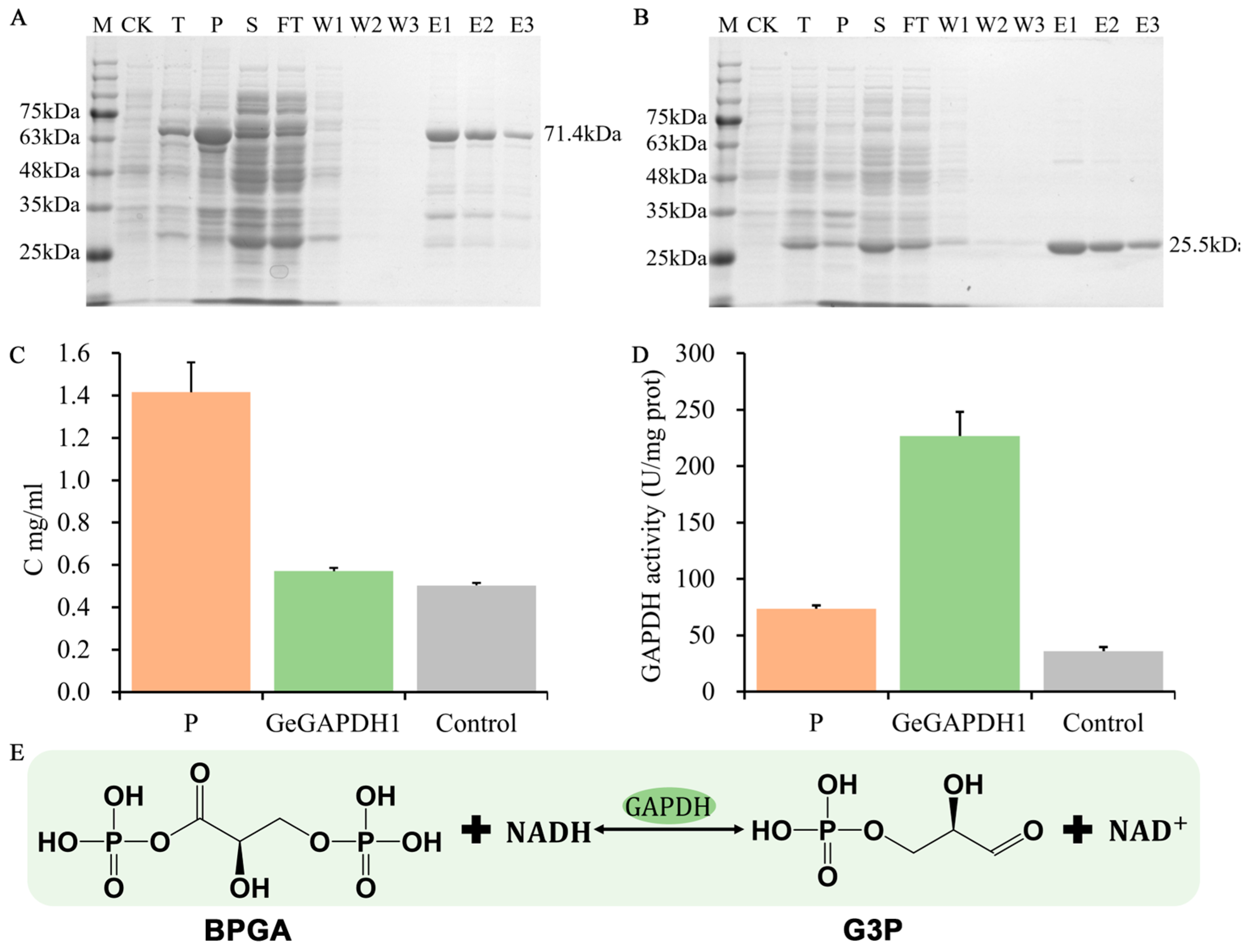 Plants 14 01866 g007