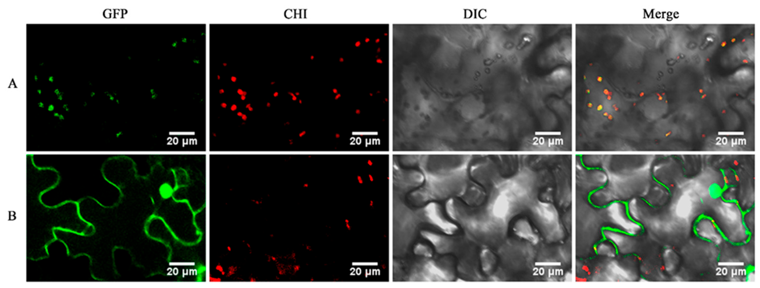 Plants 14 01866 g009