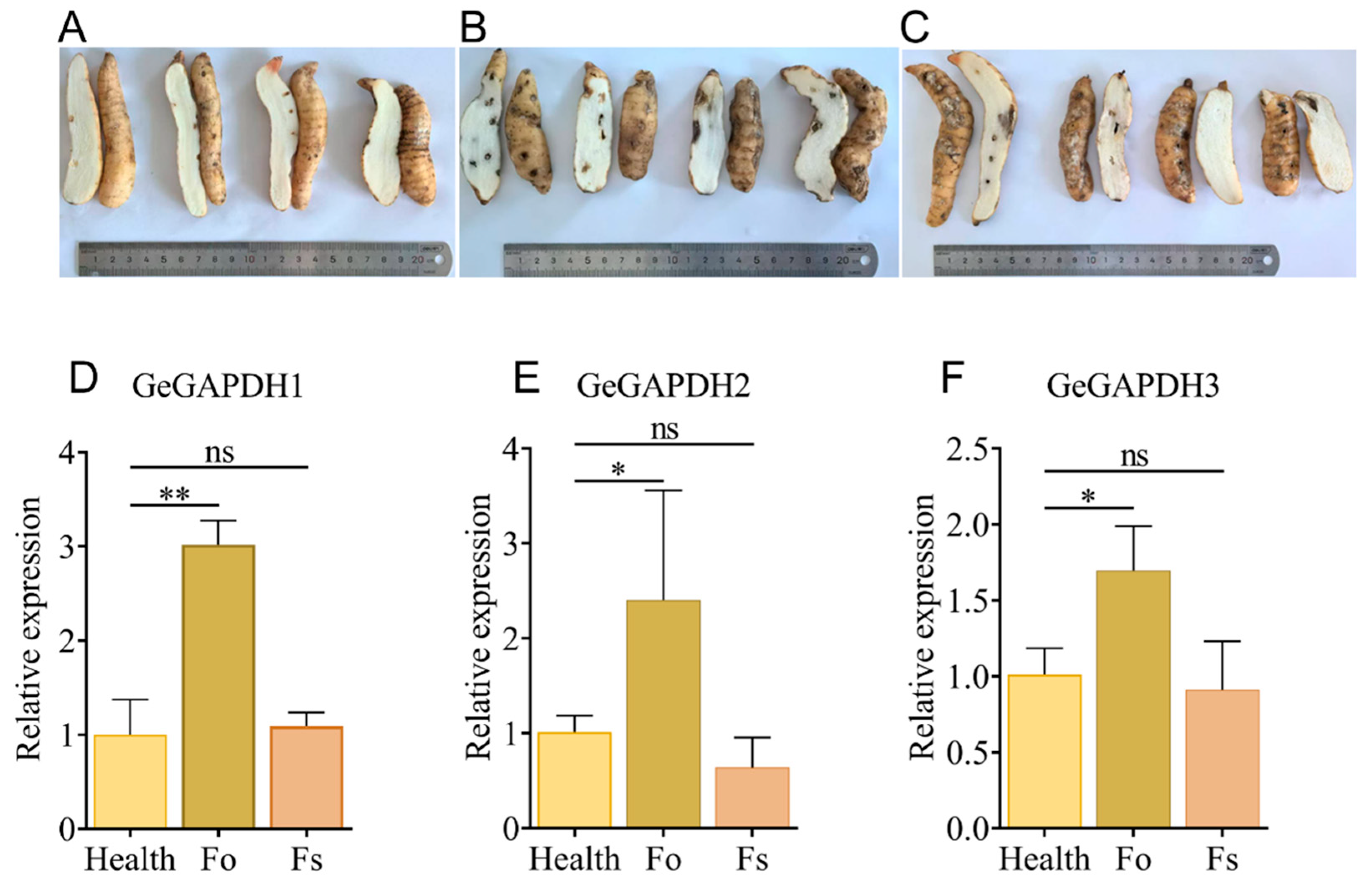 Plants 14 01866 g012