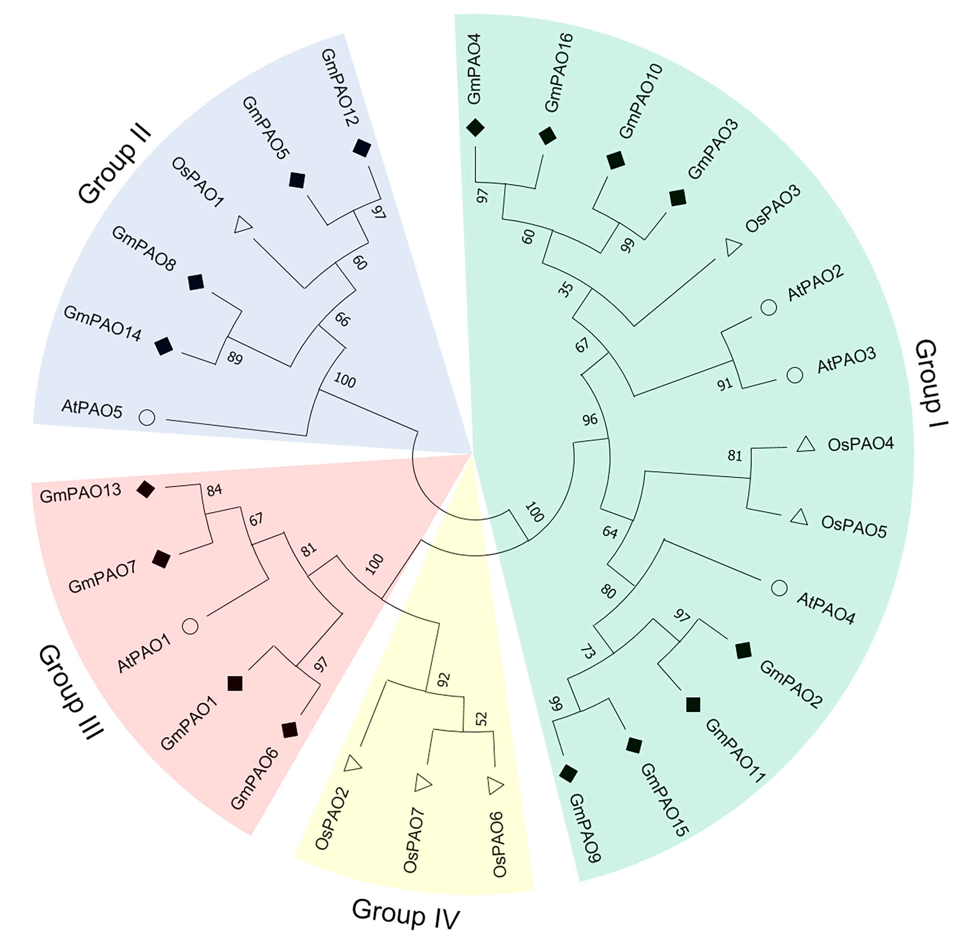 Plants 14 01867 g001
