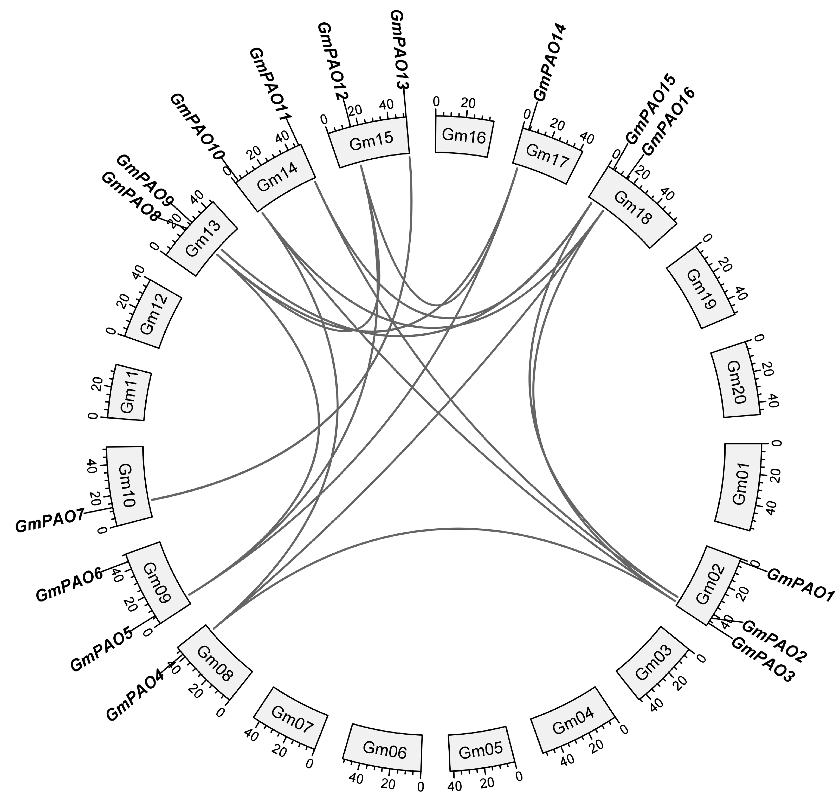 Plants 14 01867 g002