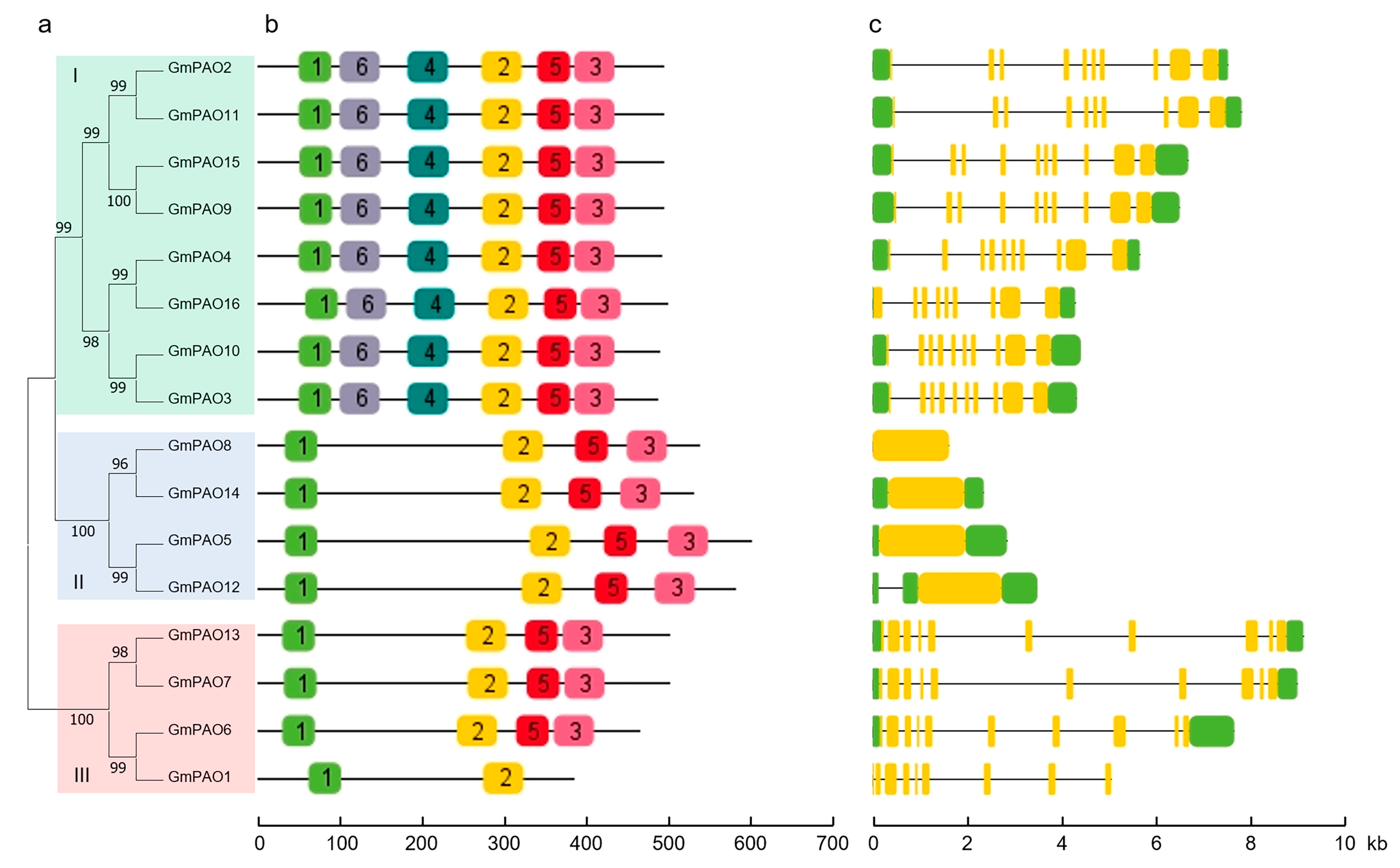 Plants 14 01867 g003