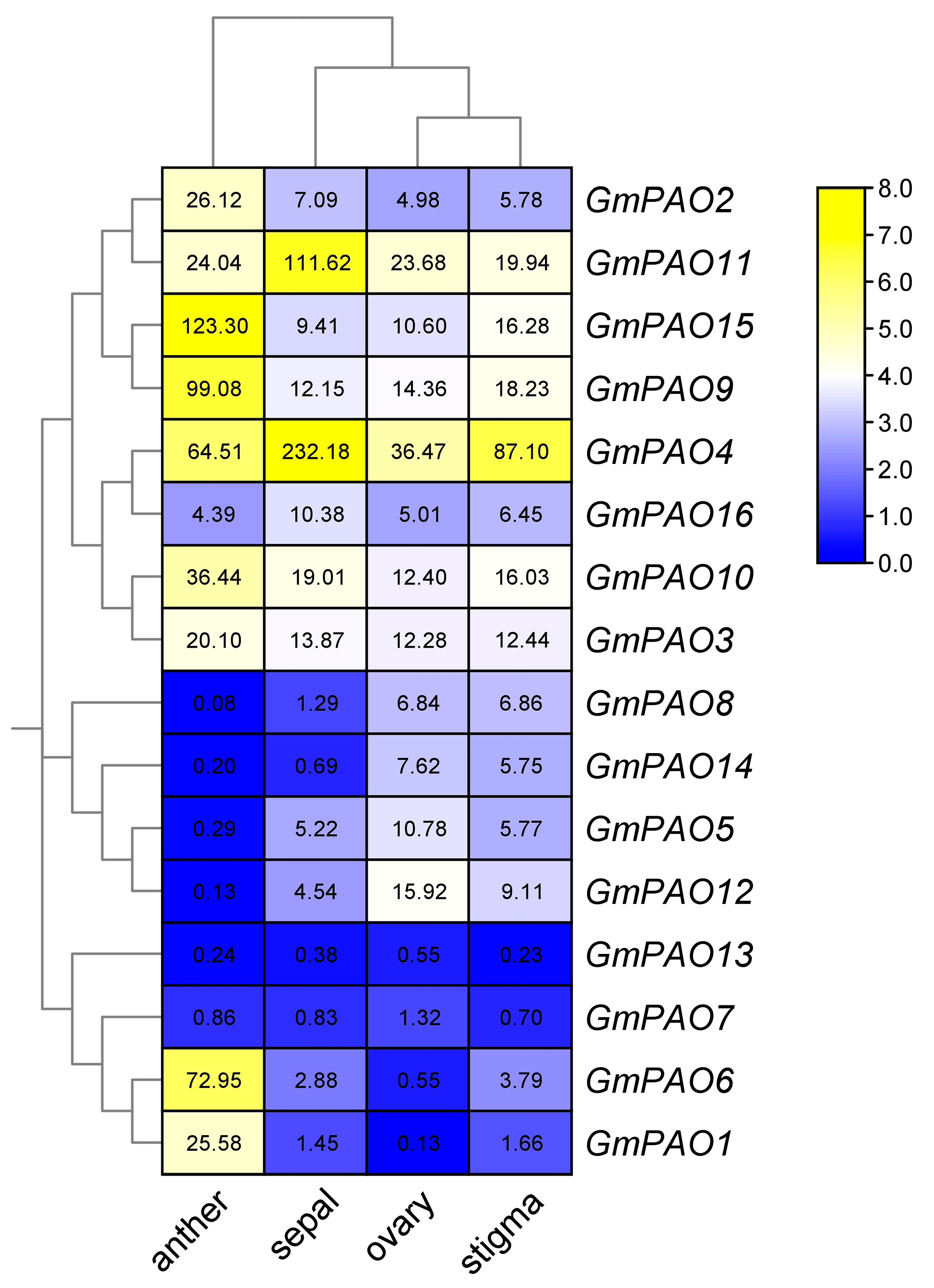 Plants 14 01867 g006