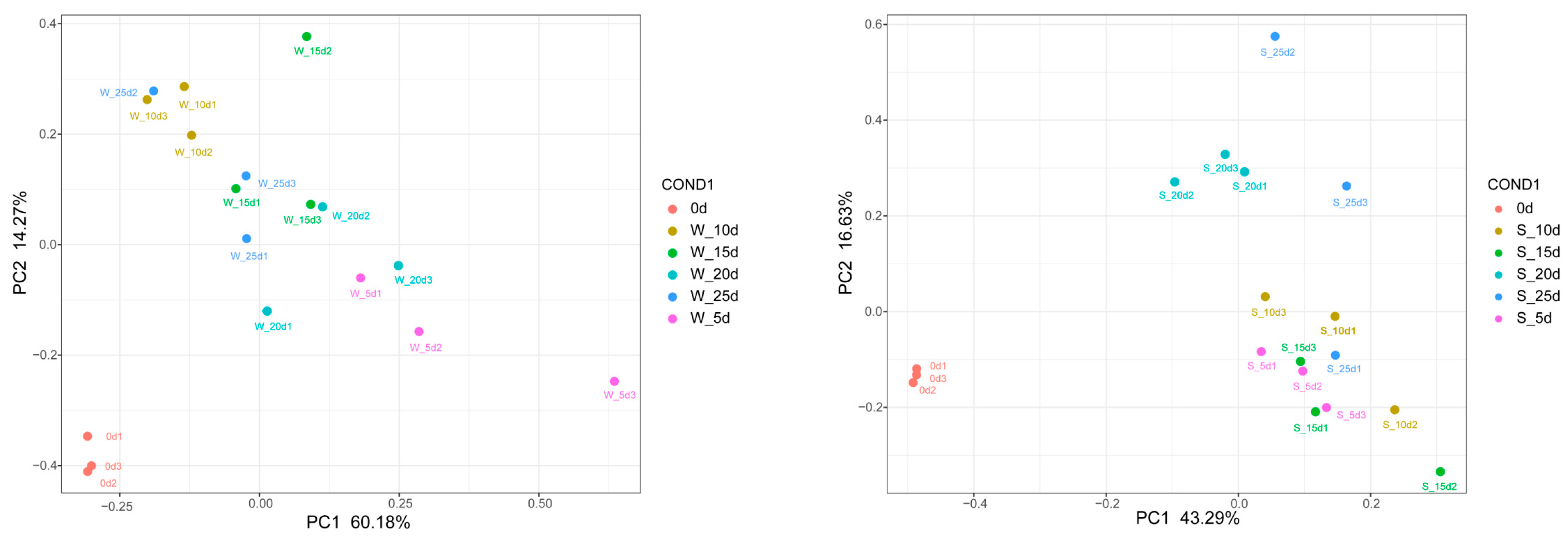 Plants 14 01870 g004