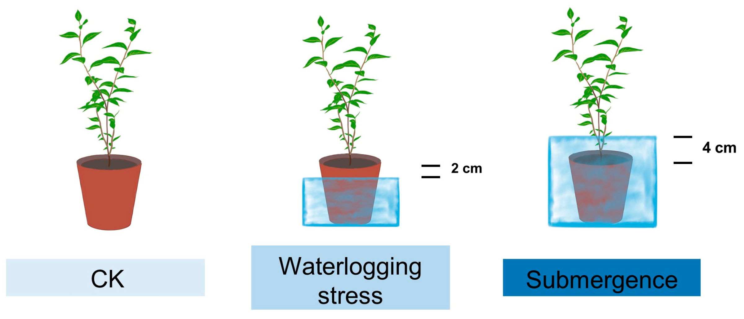 Plants 14 01870 g010