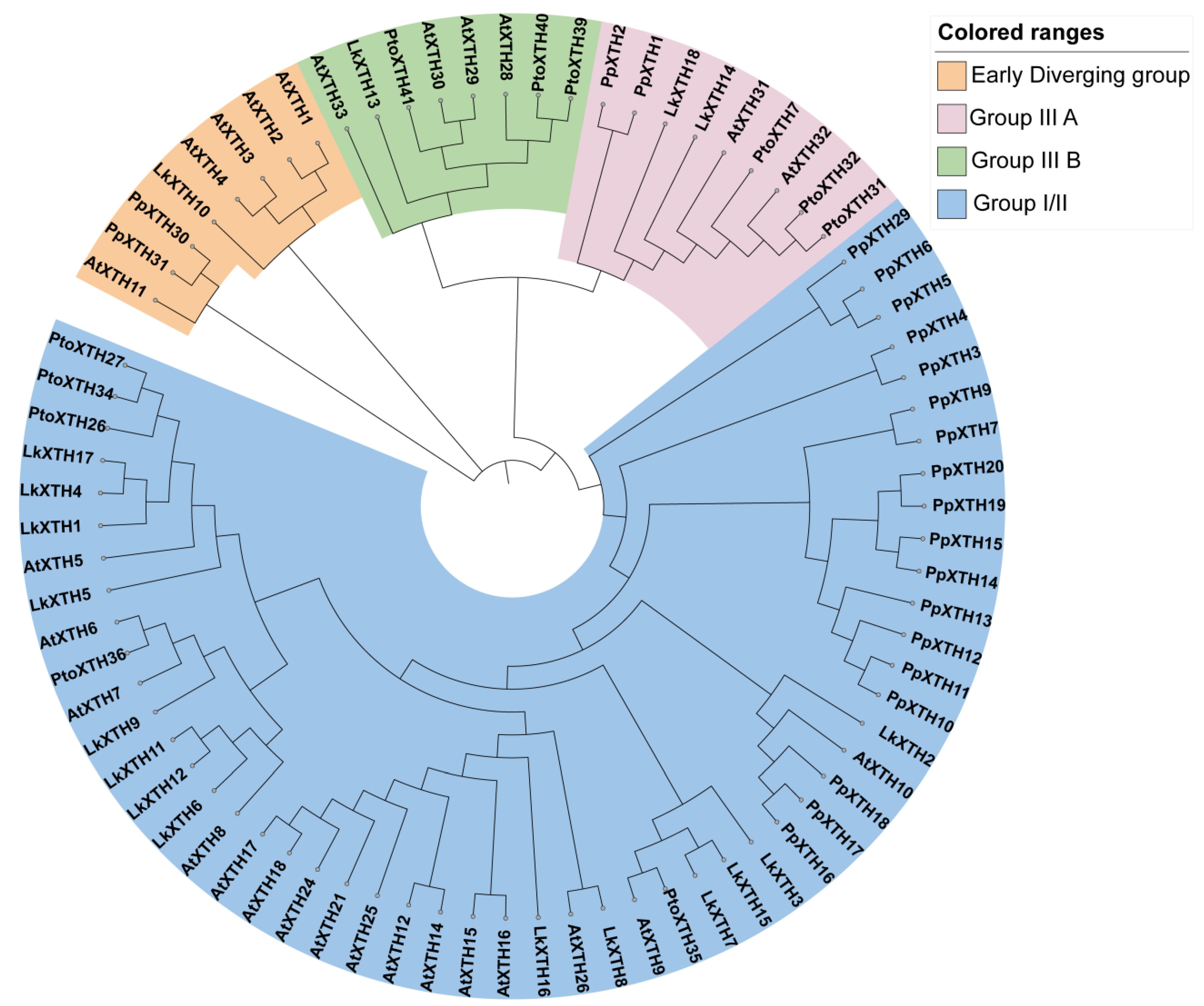 Plants 14 01882 g001