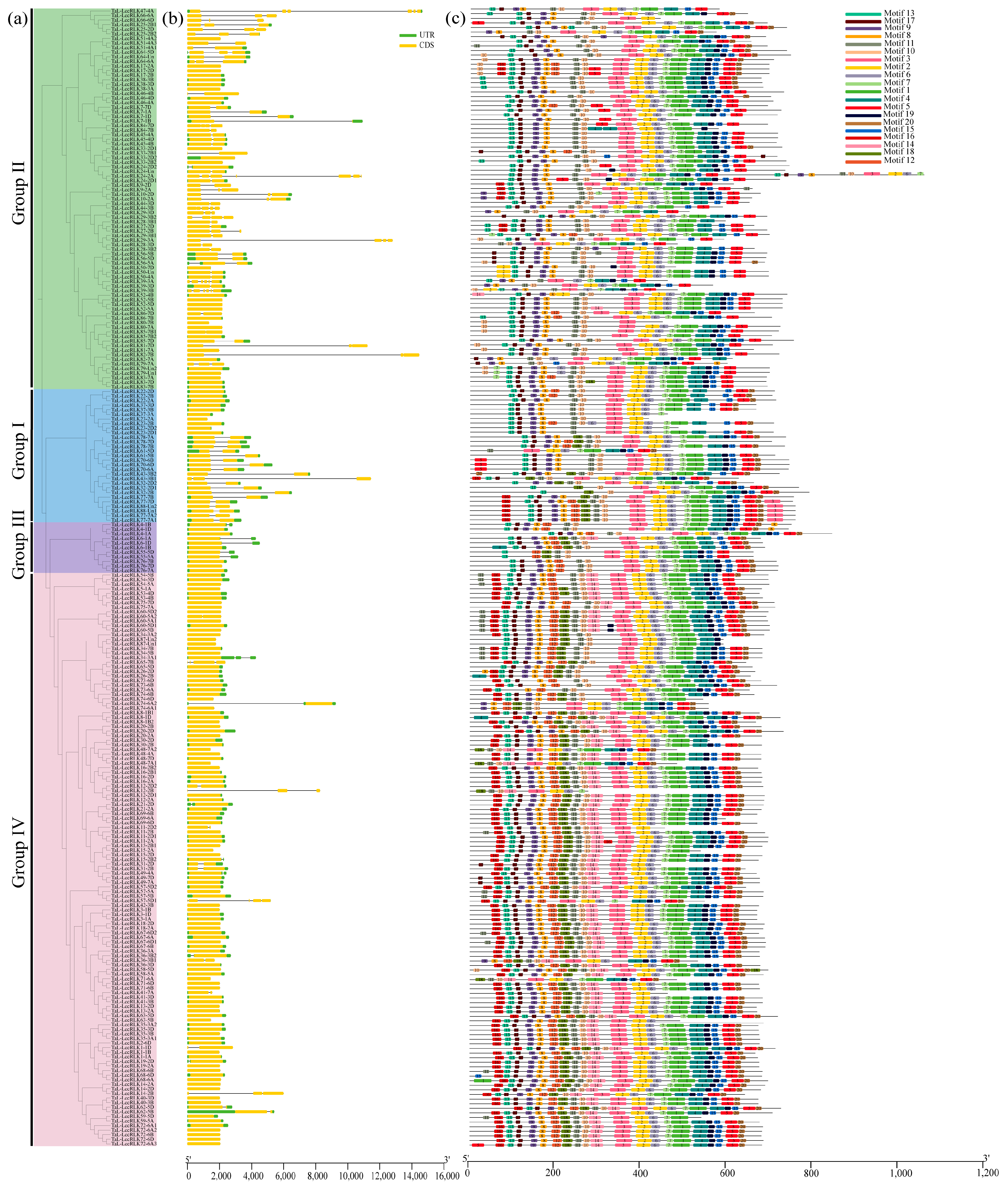 Plants 14 01884 g002