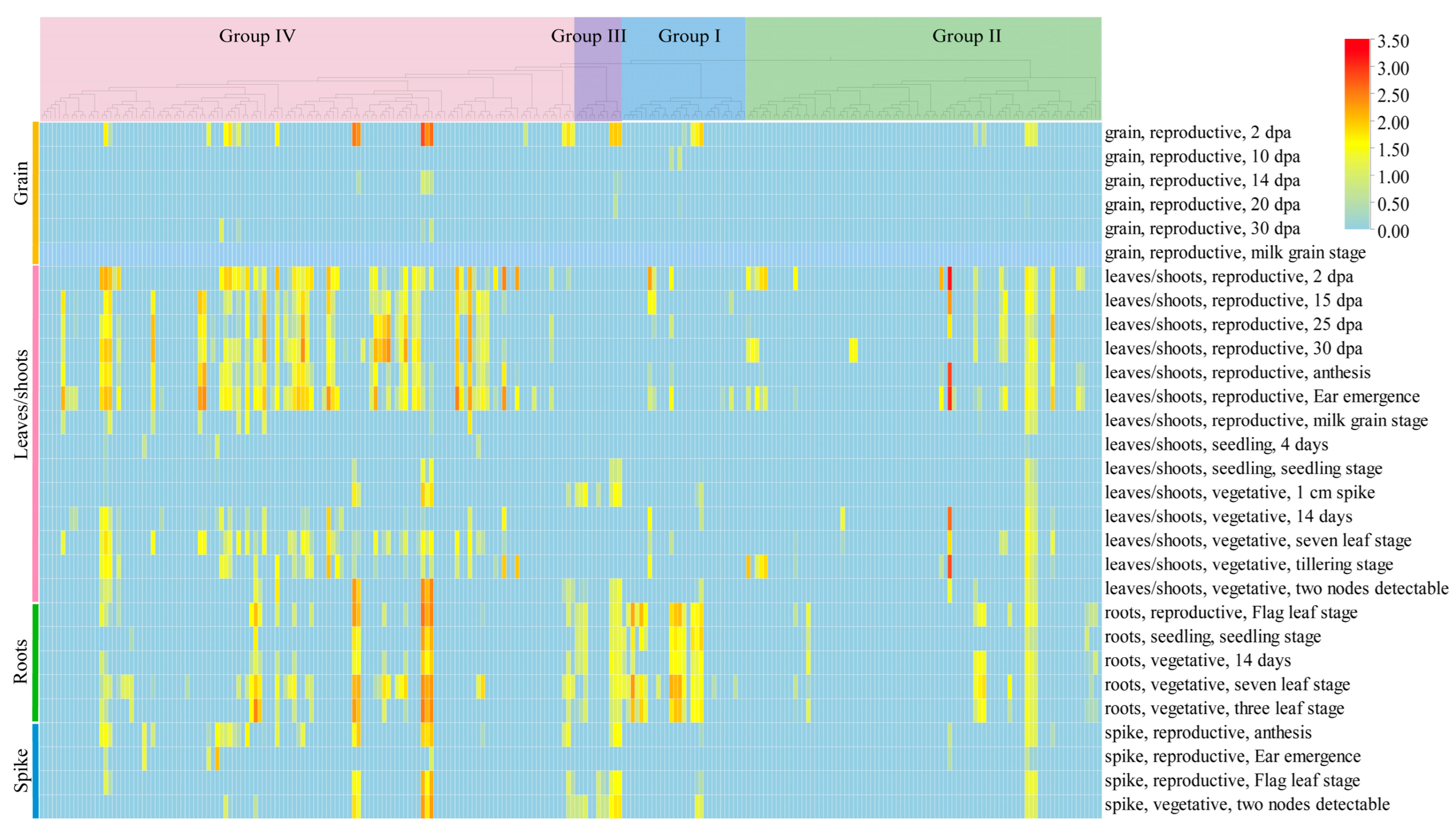 Plants 14 01884 g007