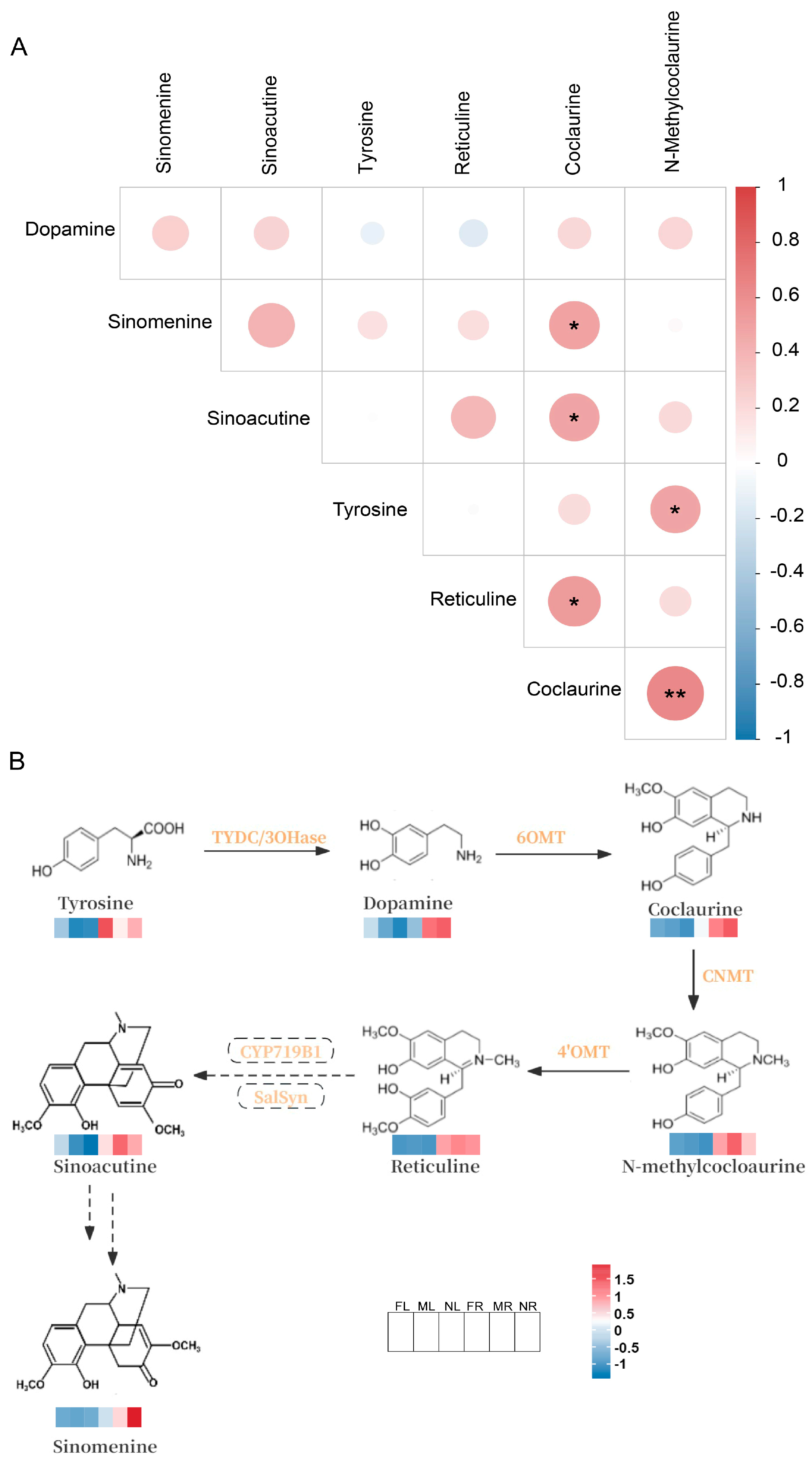Plants 14 01885 g004