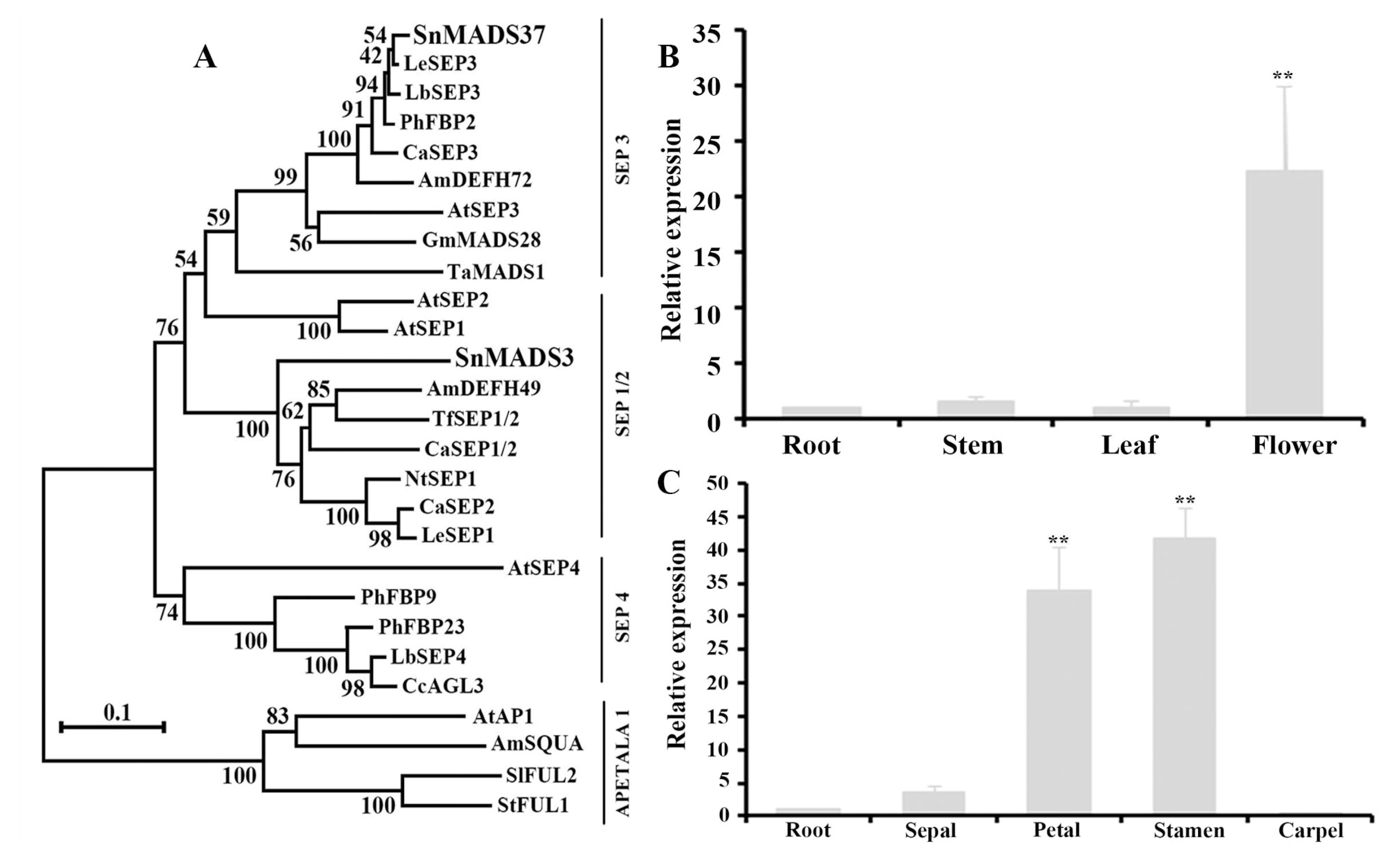 Plants 14 01891 g002