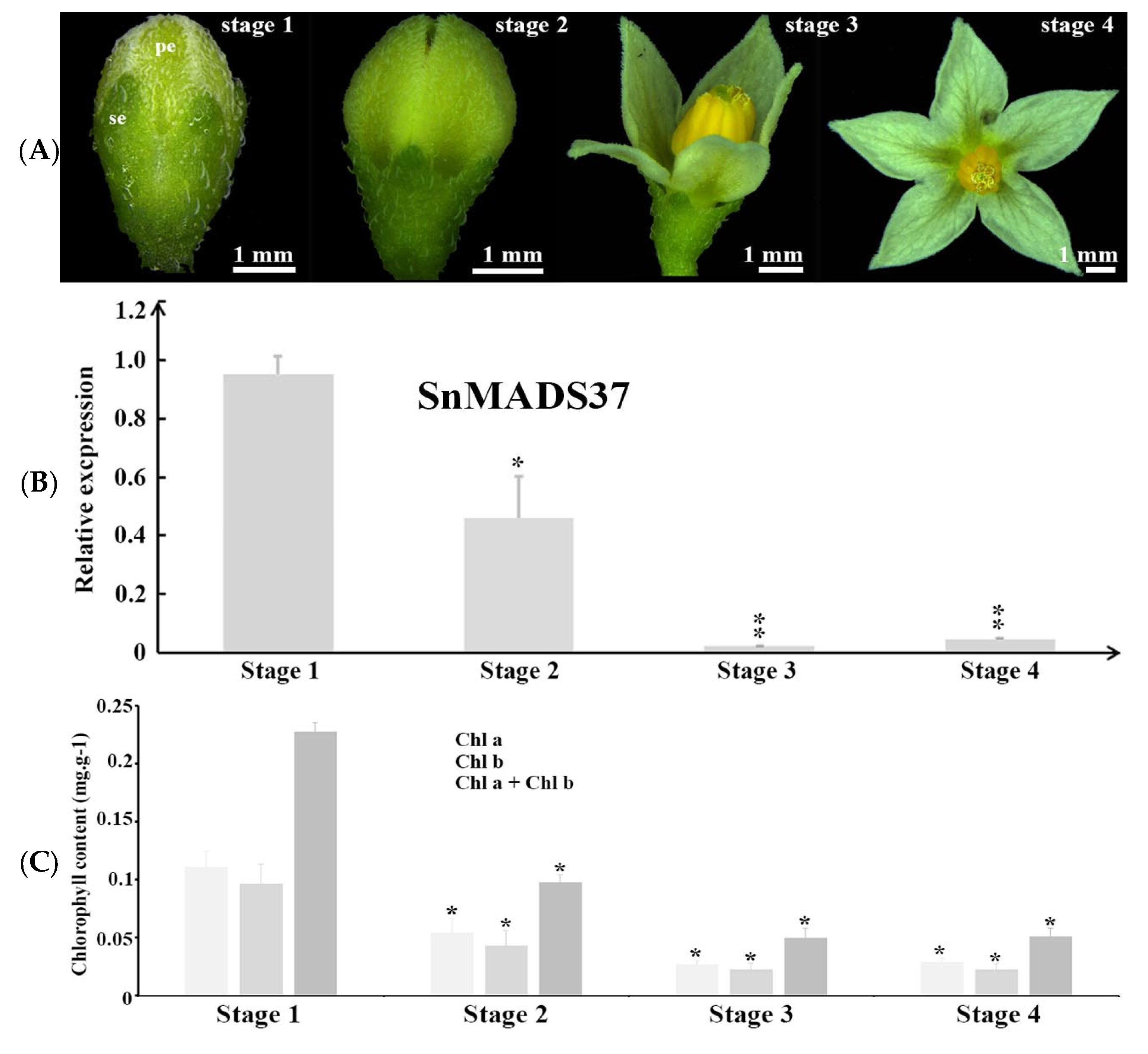 Plants 14 01891 g003