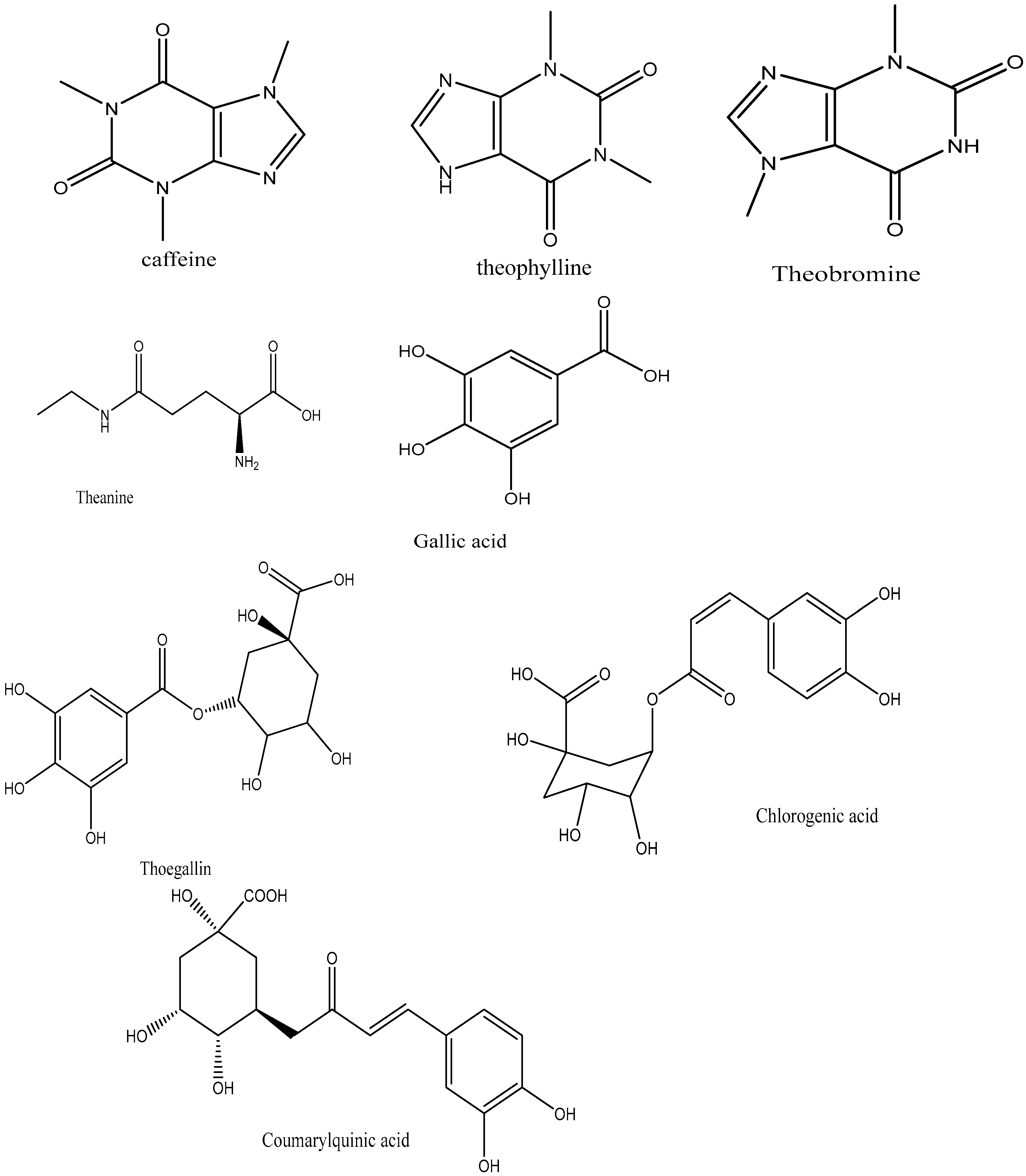 Plants 14 01898 g003