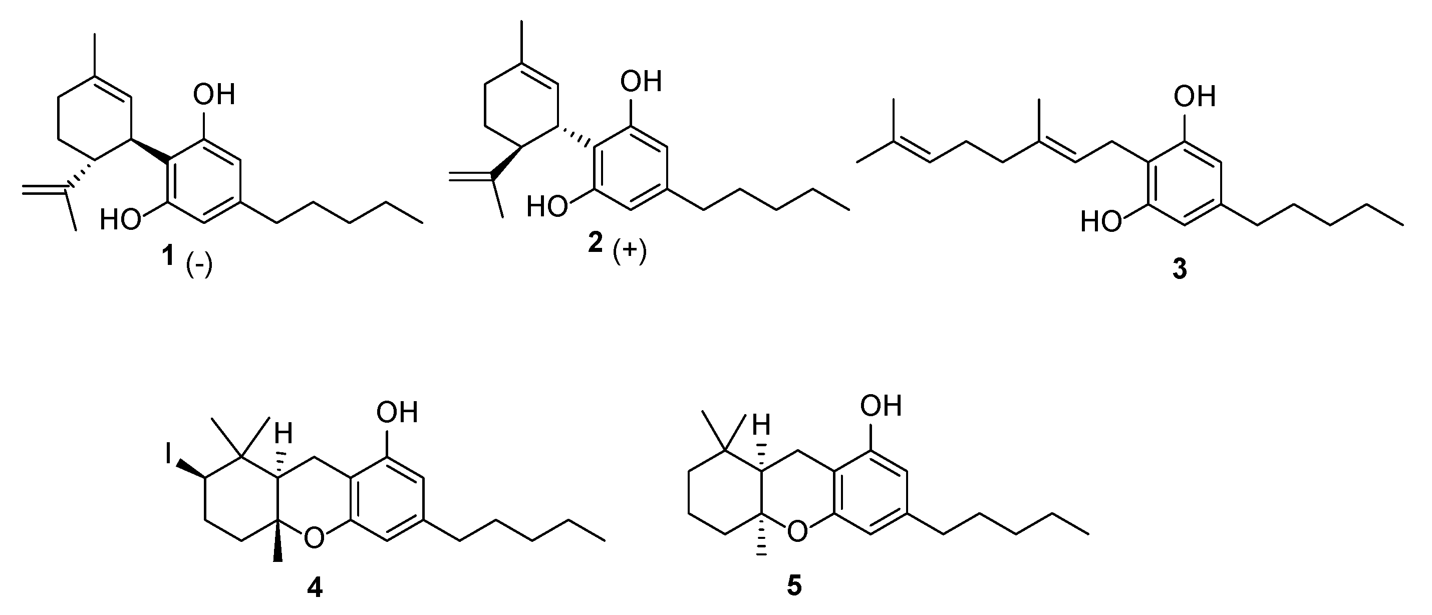 Plants 14 01901 g001