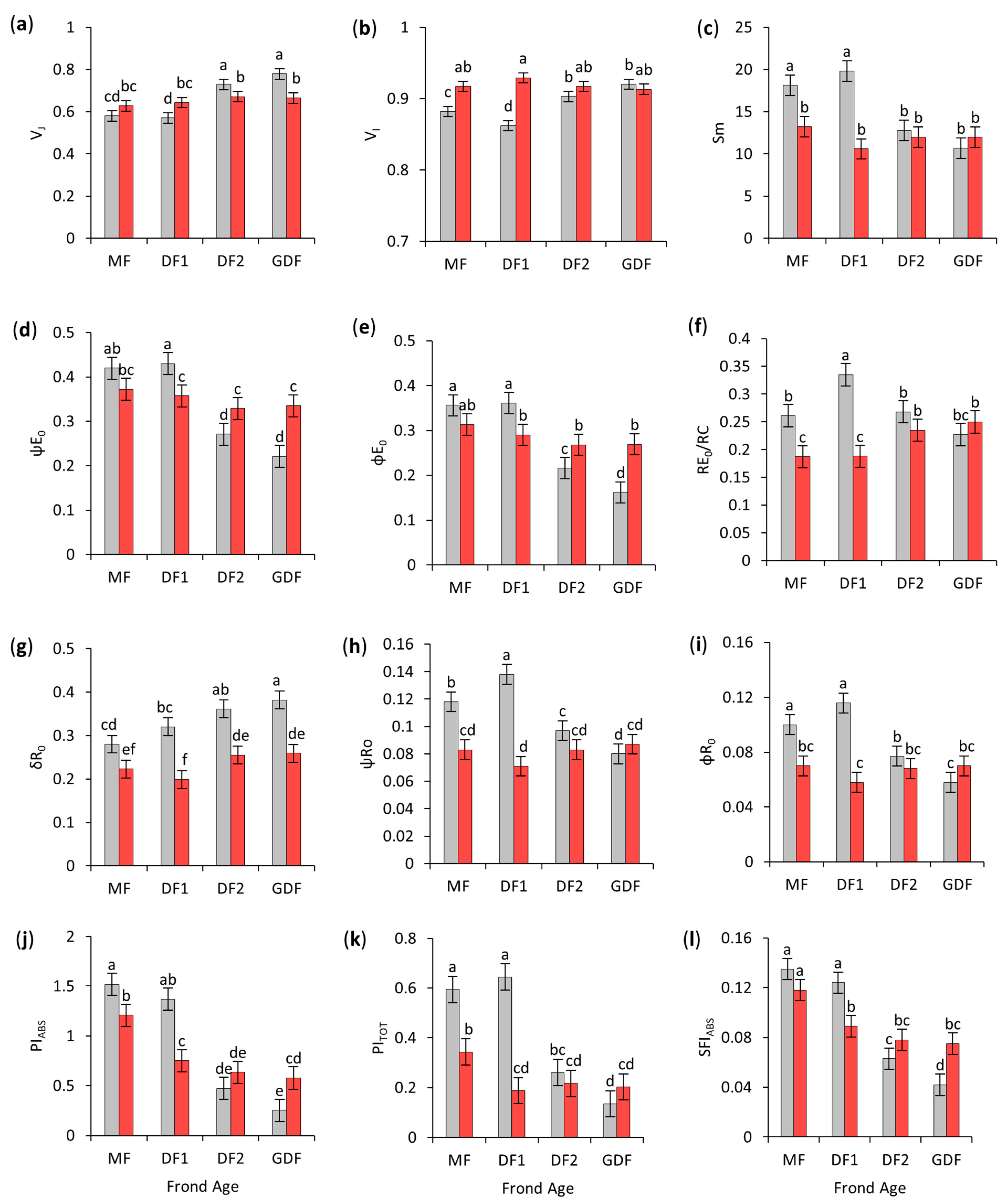 Plants 14 01907 g008