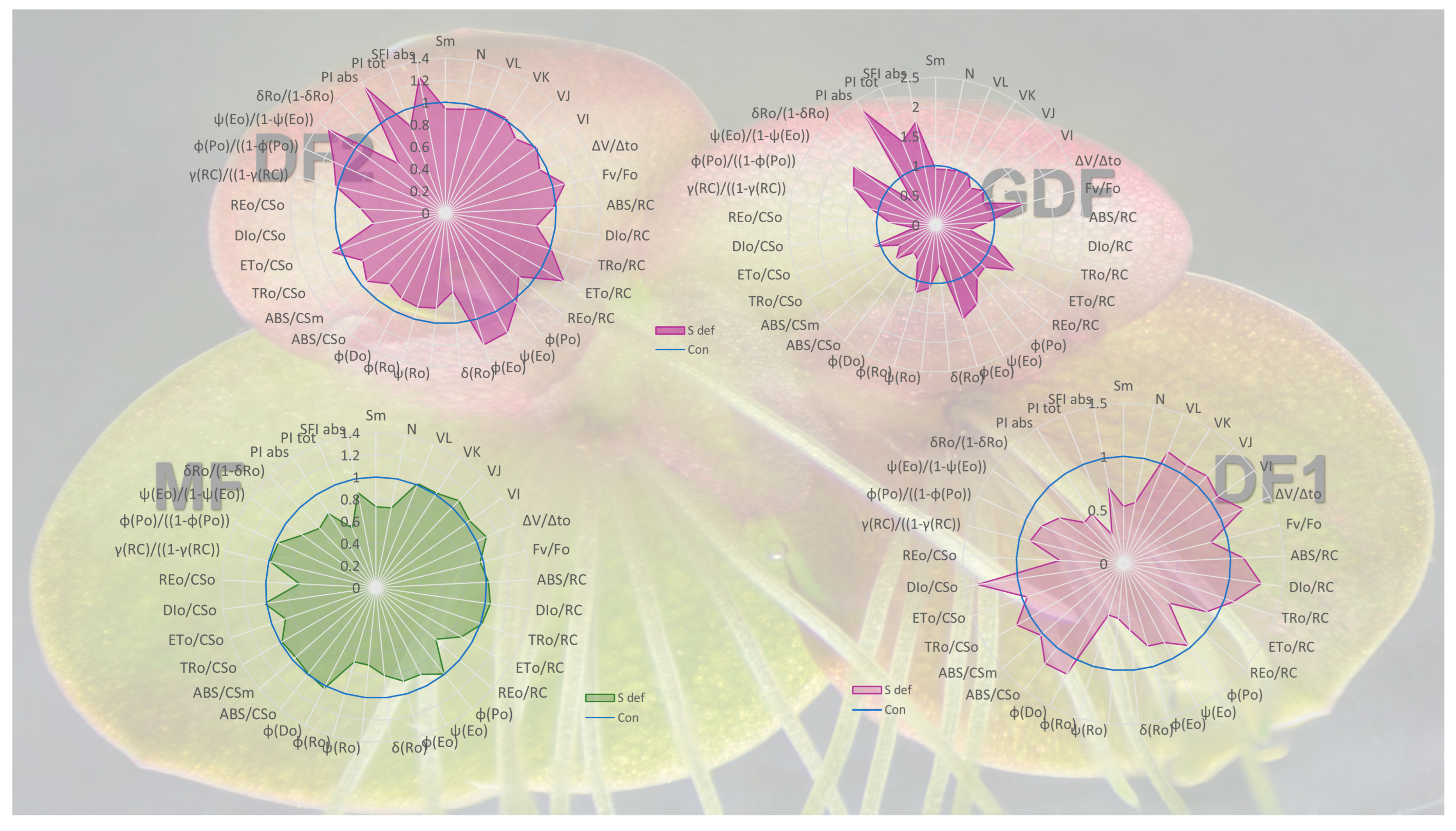 Plants 14 01907 g009
