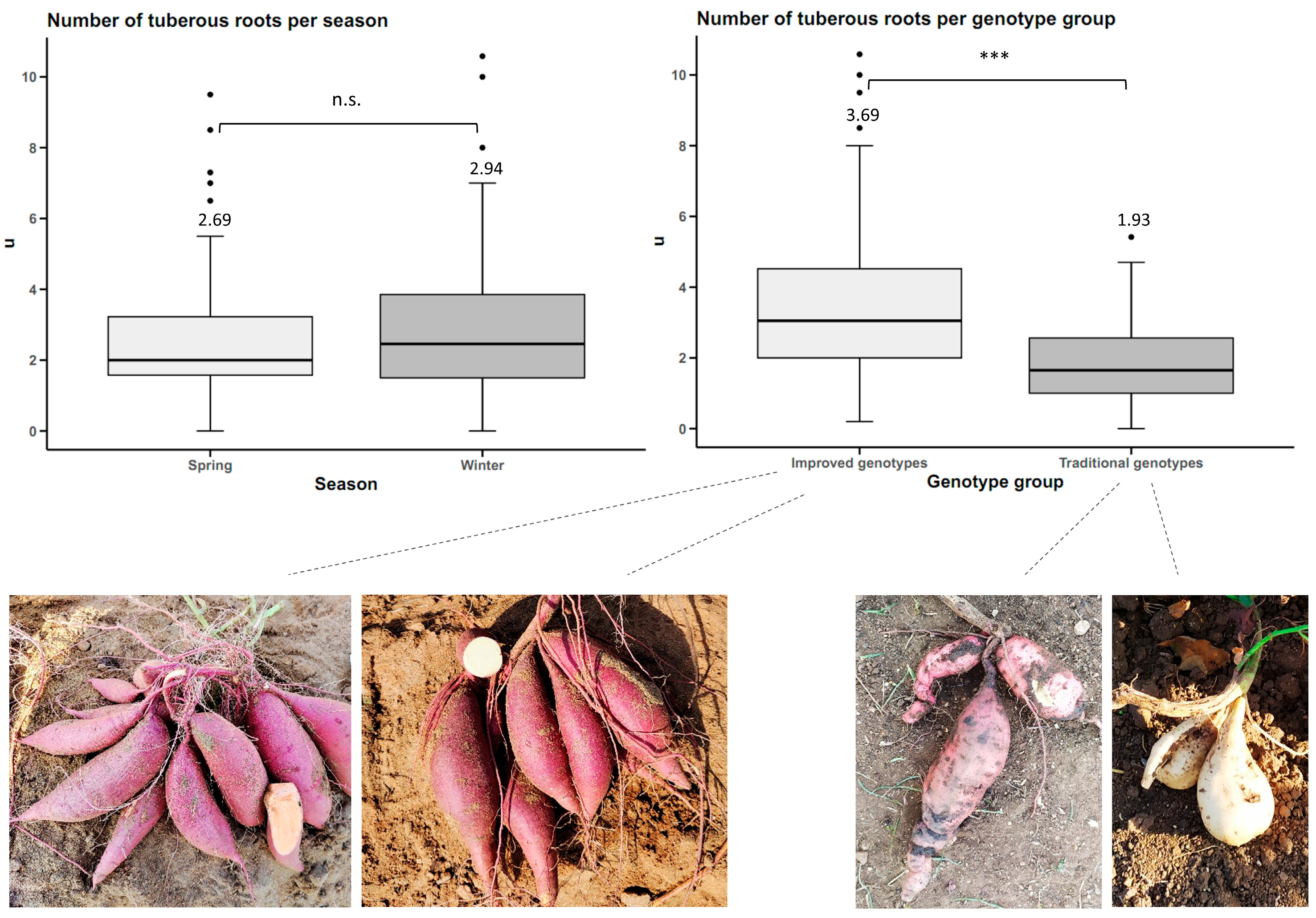 Plants 14 01911 g003