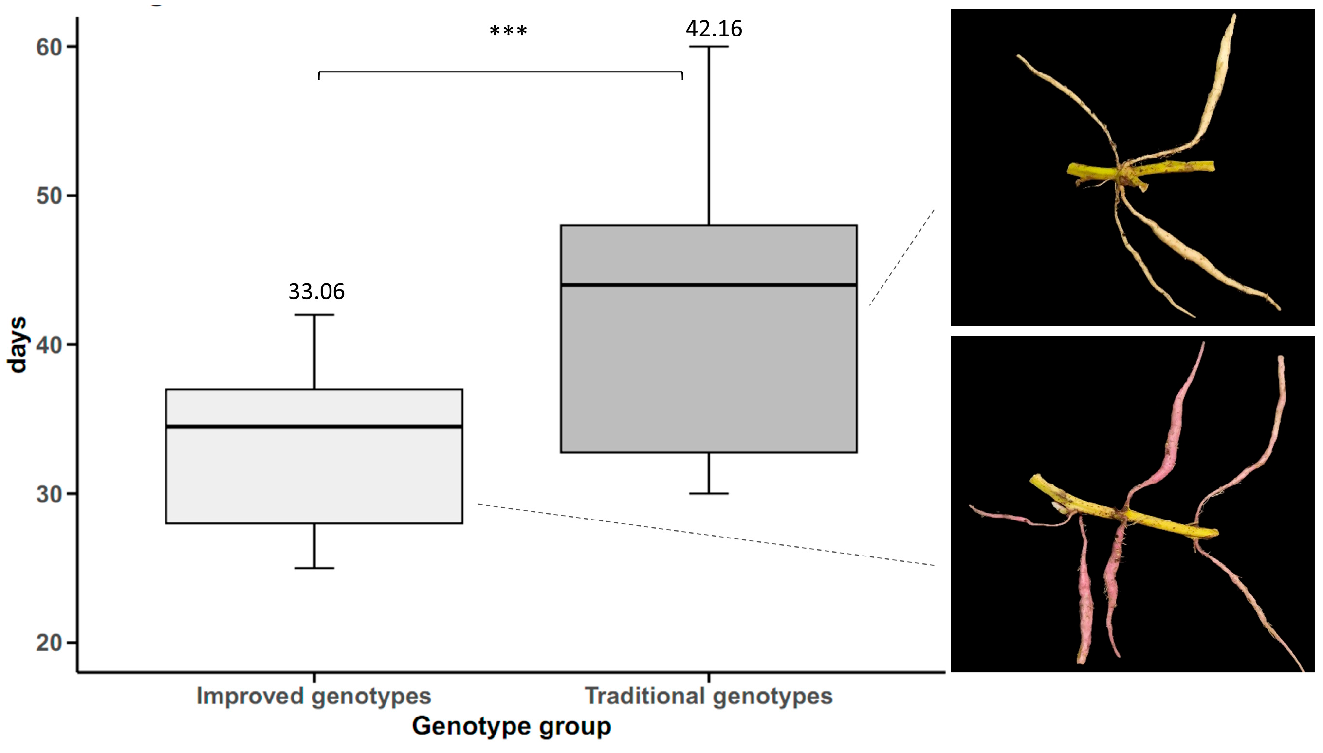 Plants 14 01911 g007