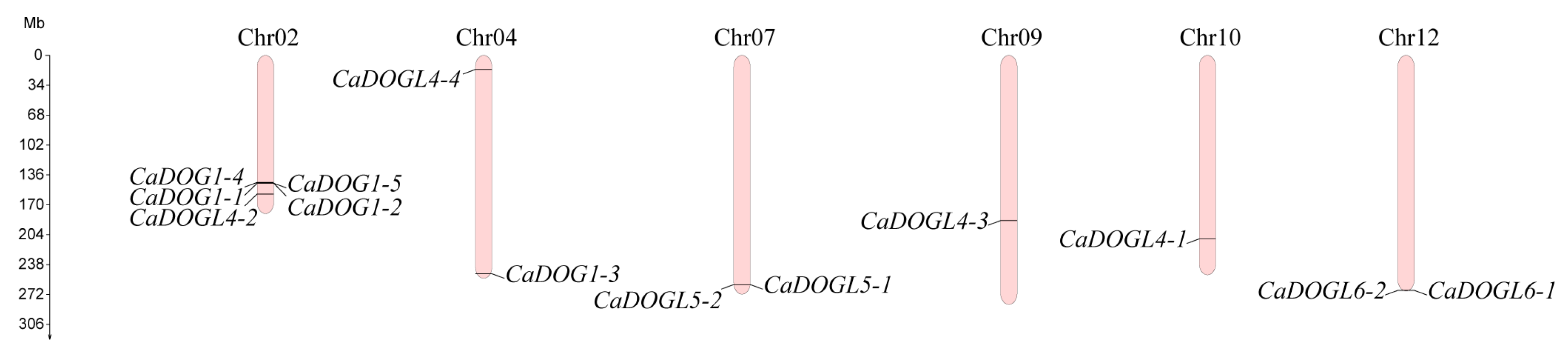 Plants 14 01913 g001