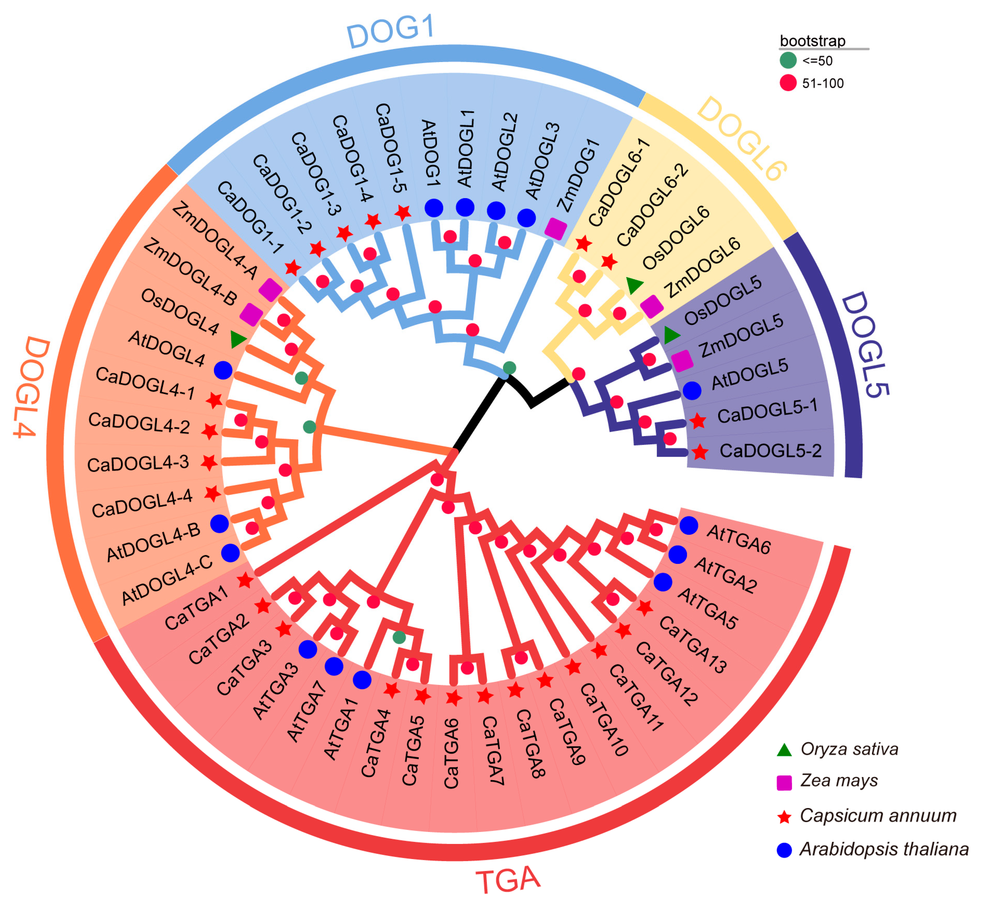 Plants 14 01913 g002