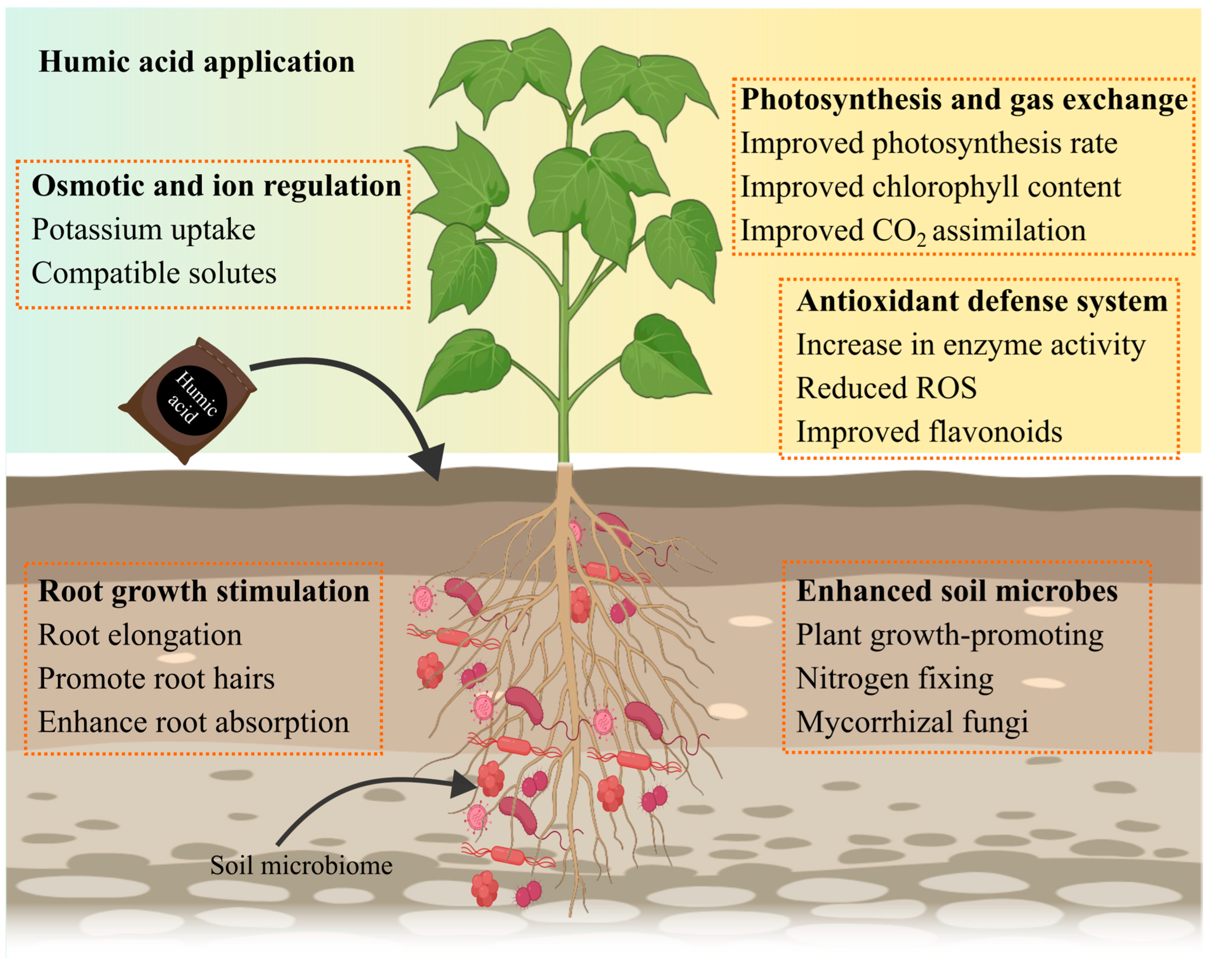 Plants 14 01916 g003