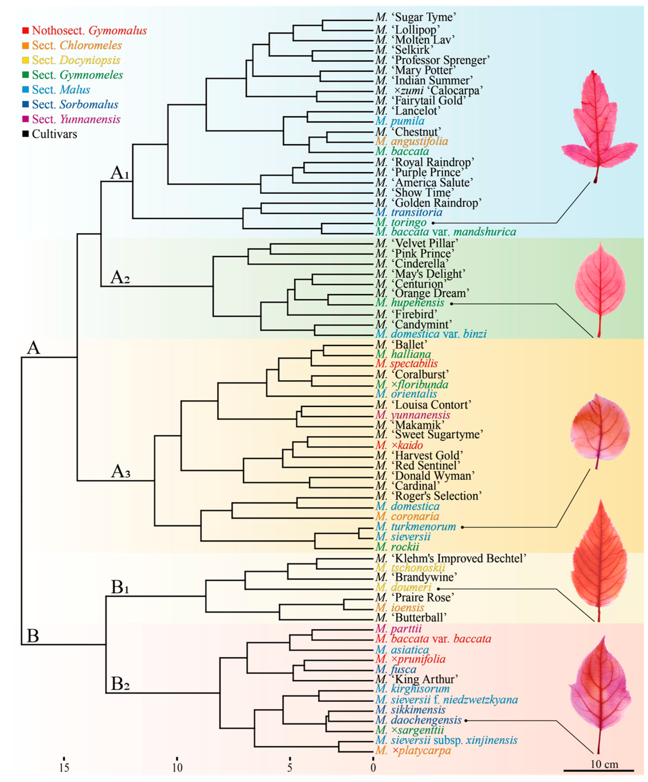 Plants 14 01918 g003