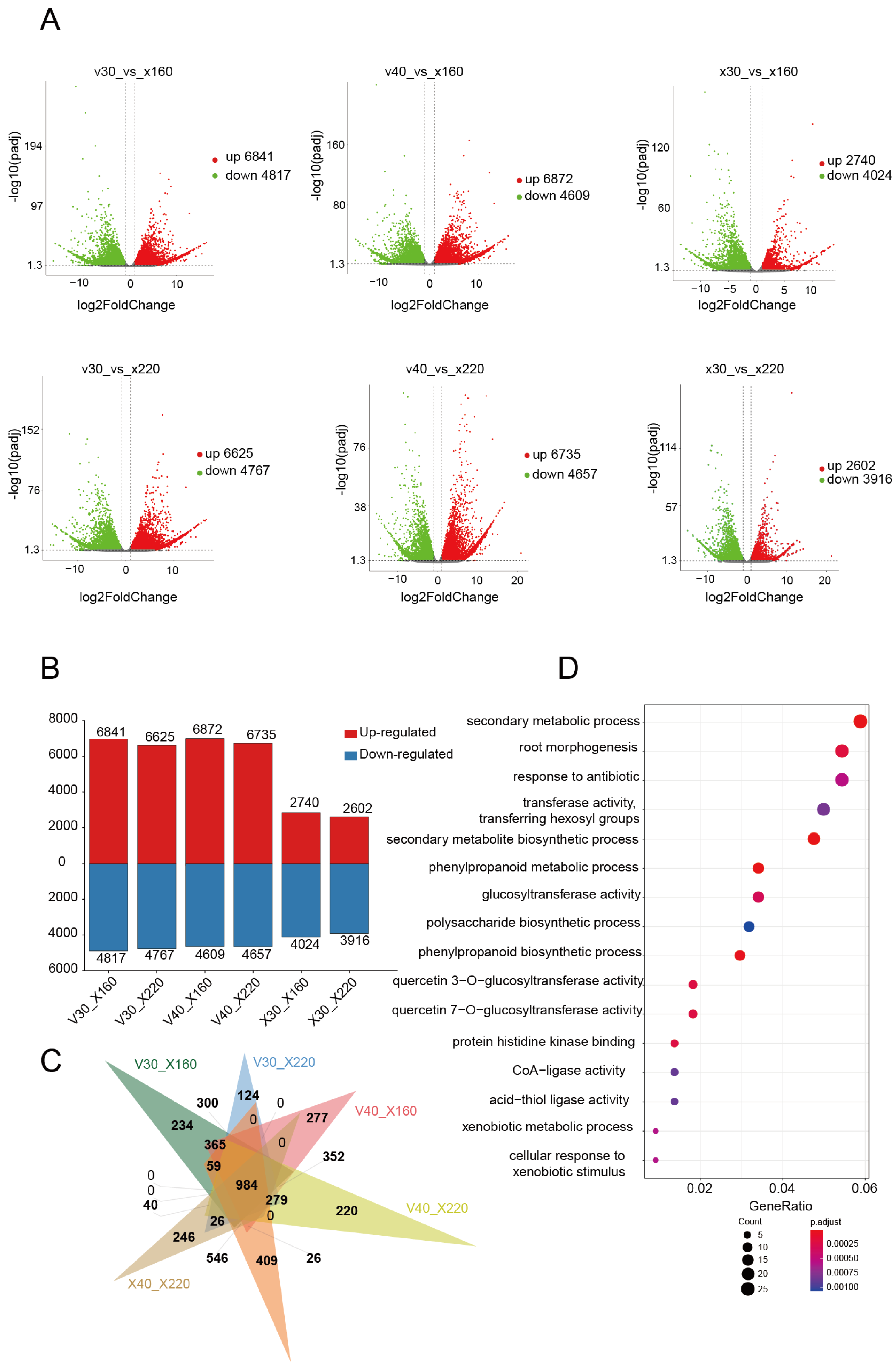Plants 14 01922 g002