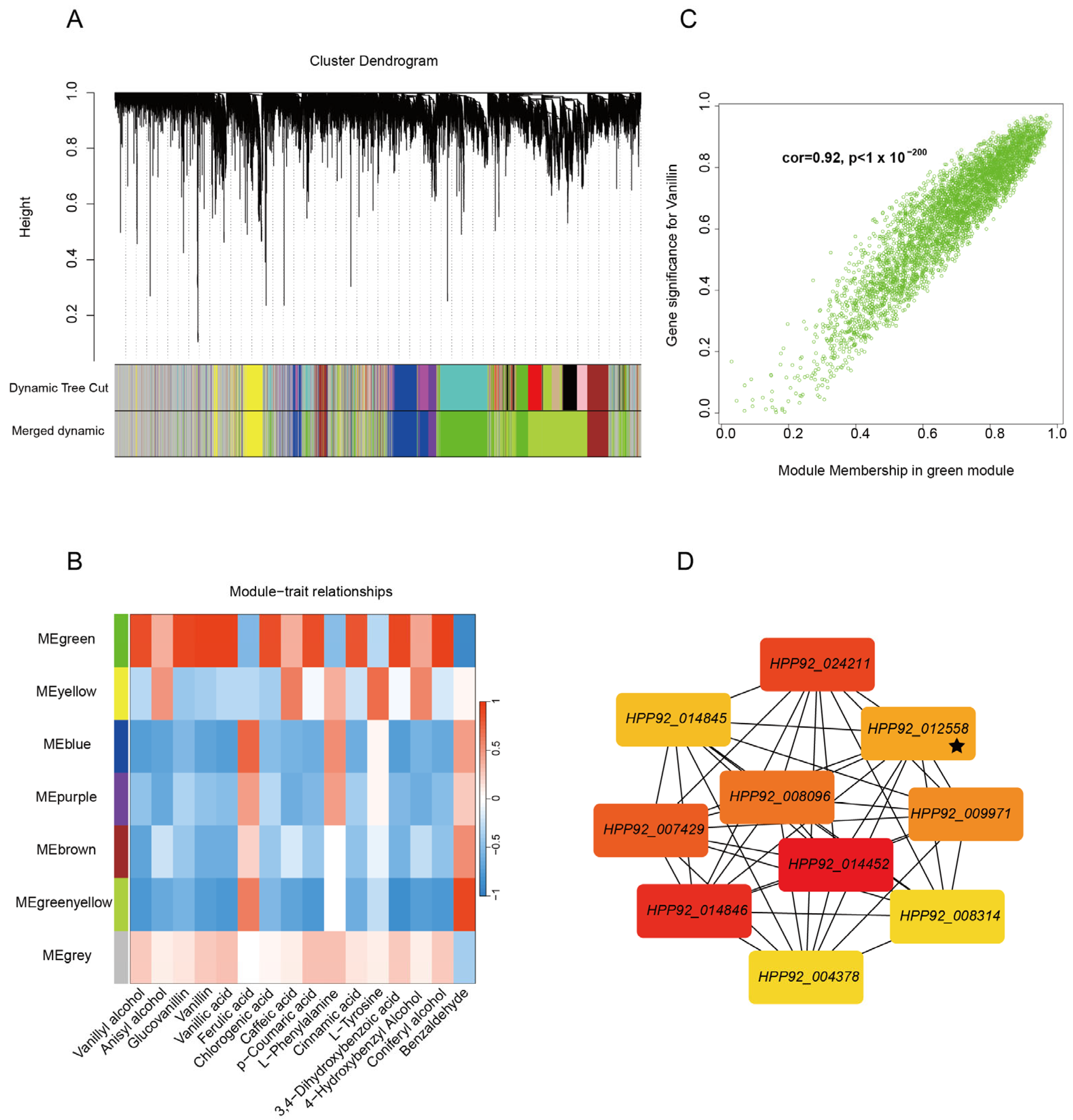 Plants 14 01922 g004