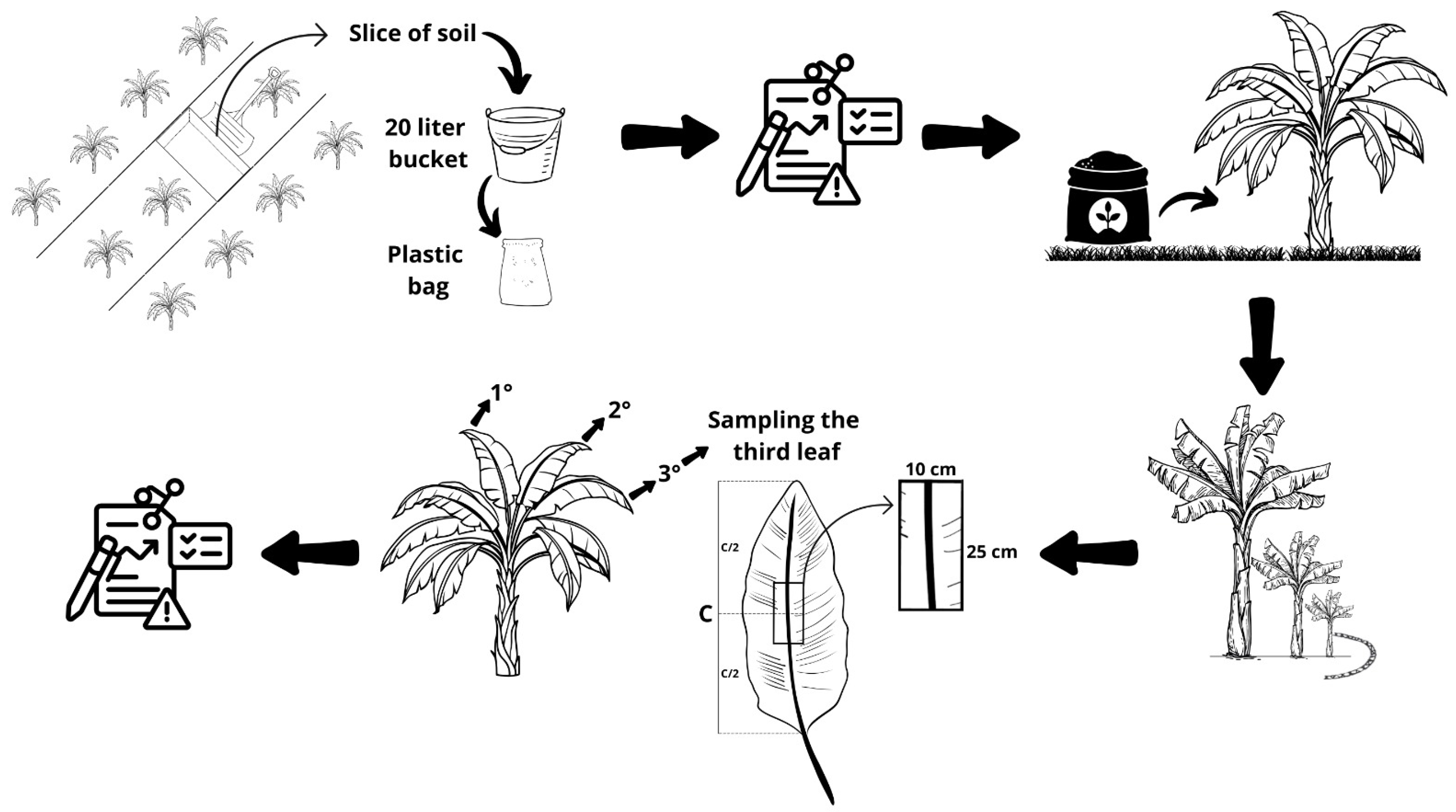 Plants 14 01923 g006