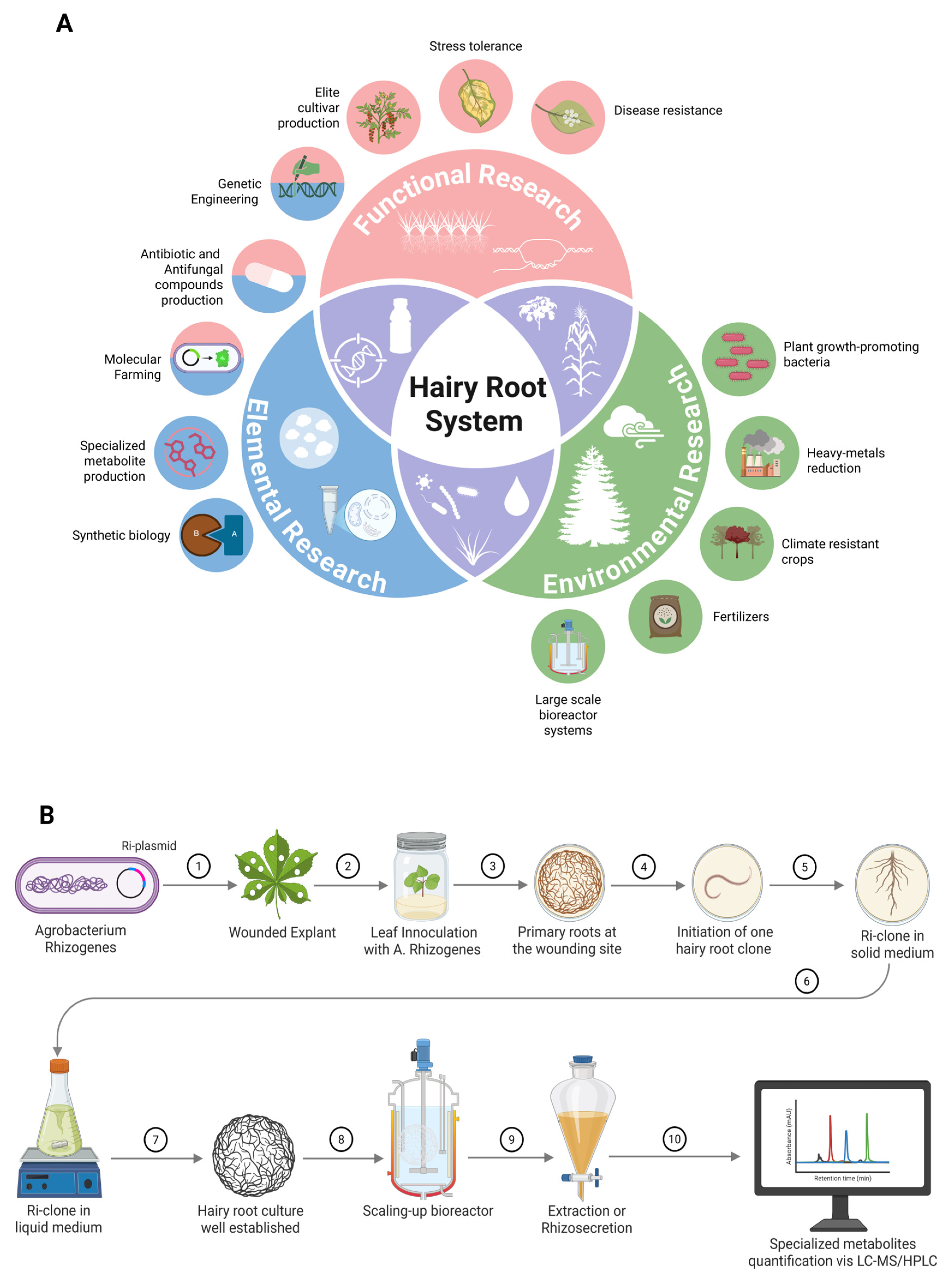 Plants 14 01928 g001