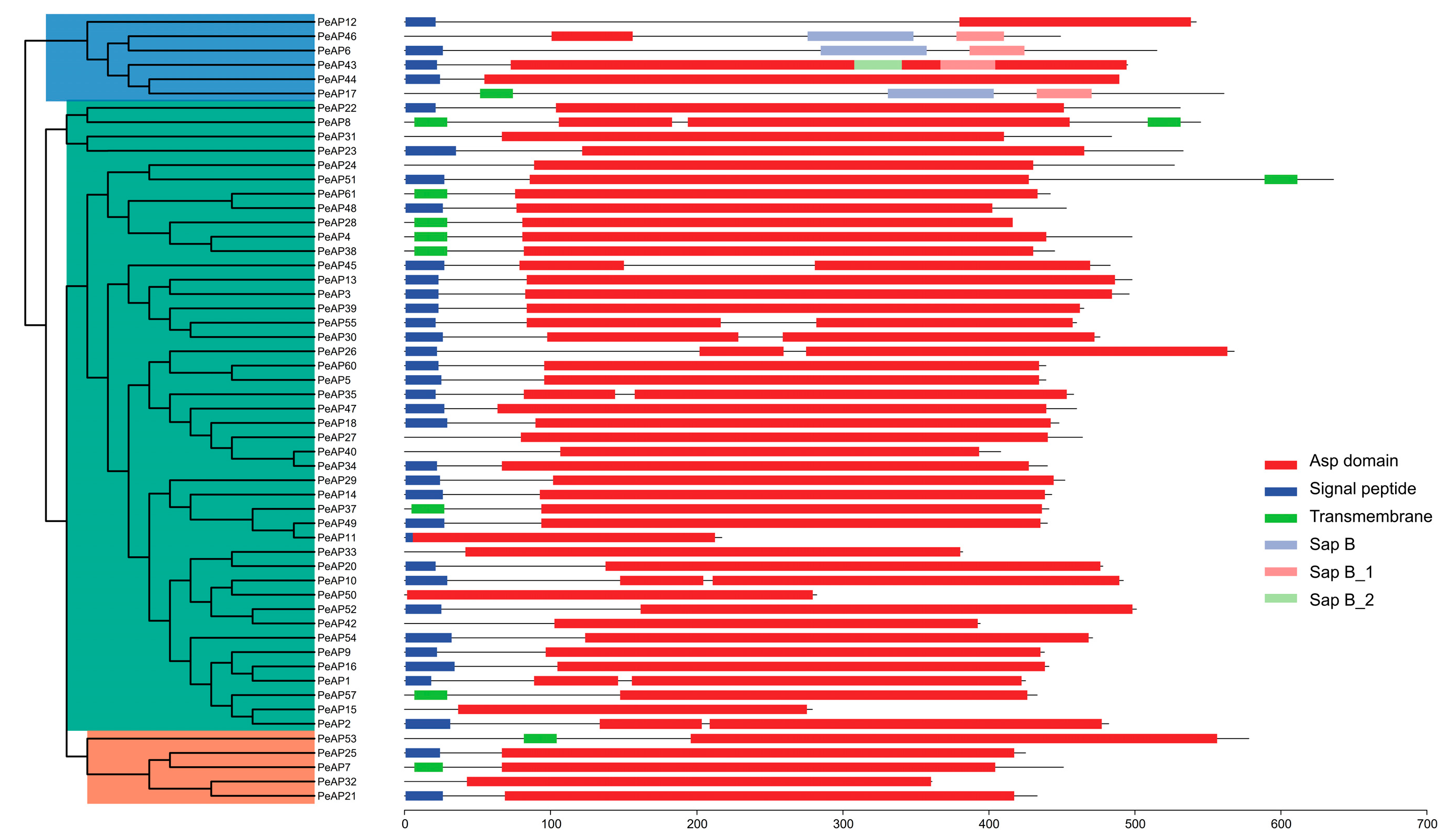 Plants 14 01930 g001