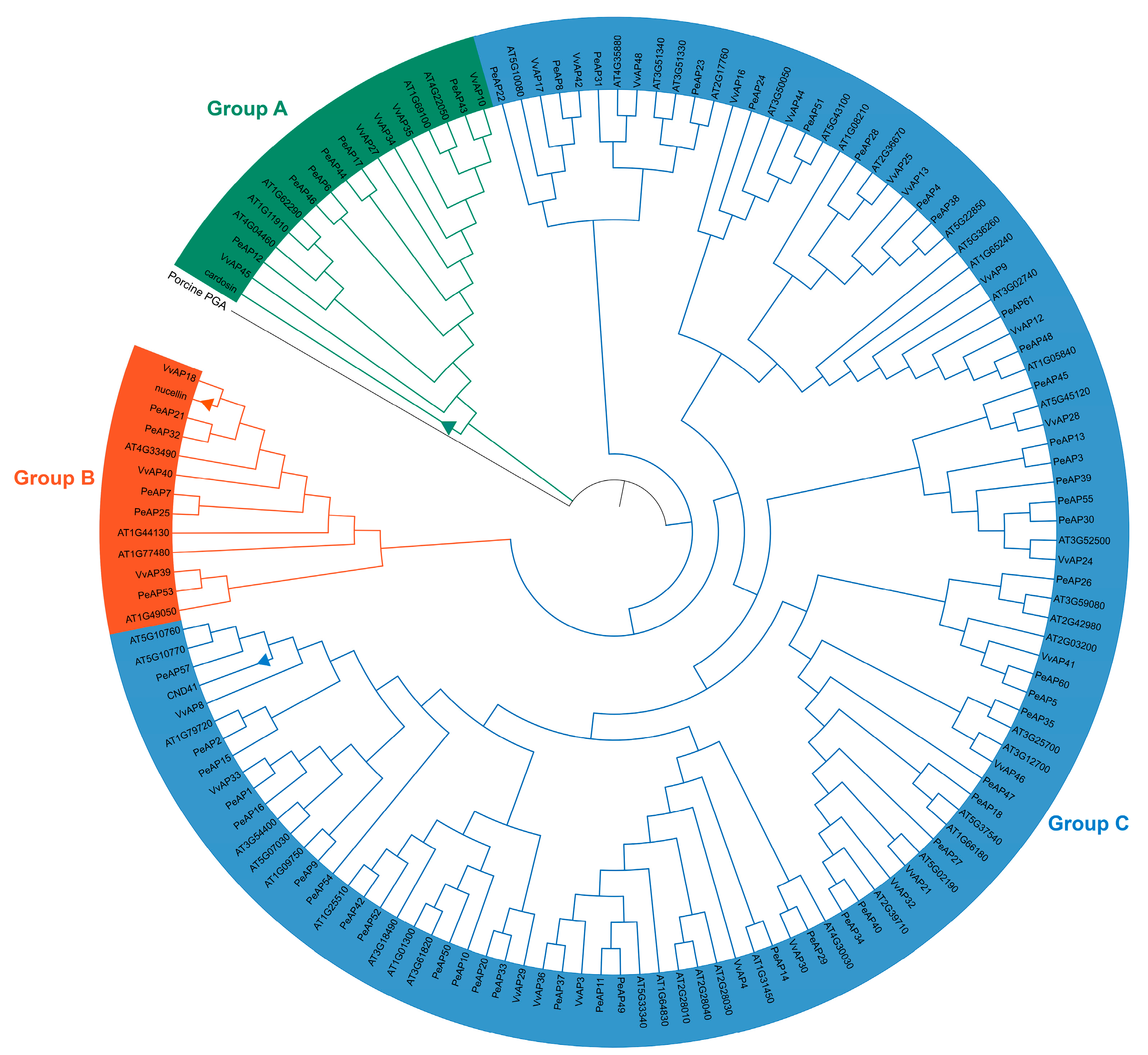 Plants 14 01930 g002