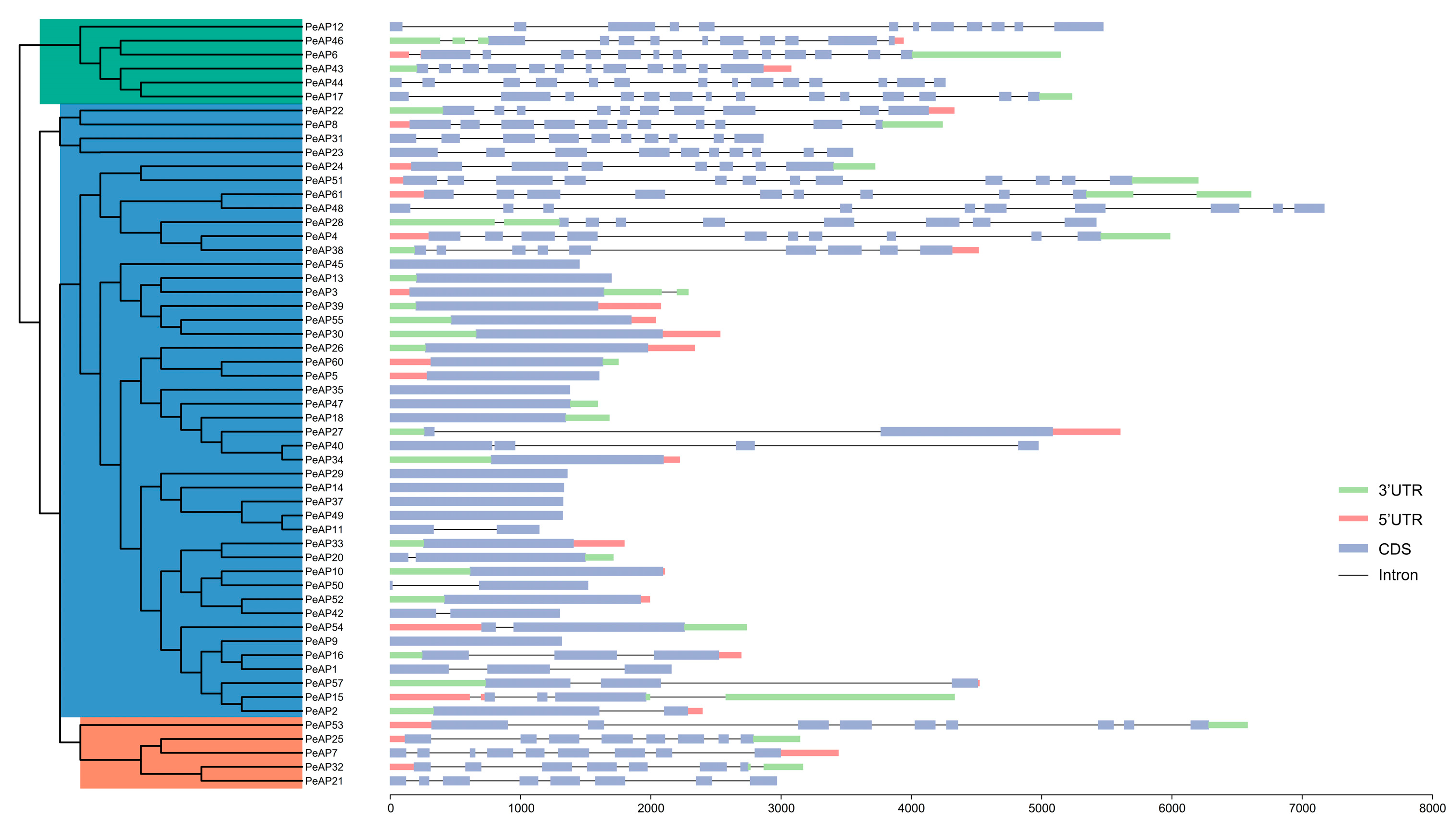 Plants 14 01930 g003