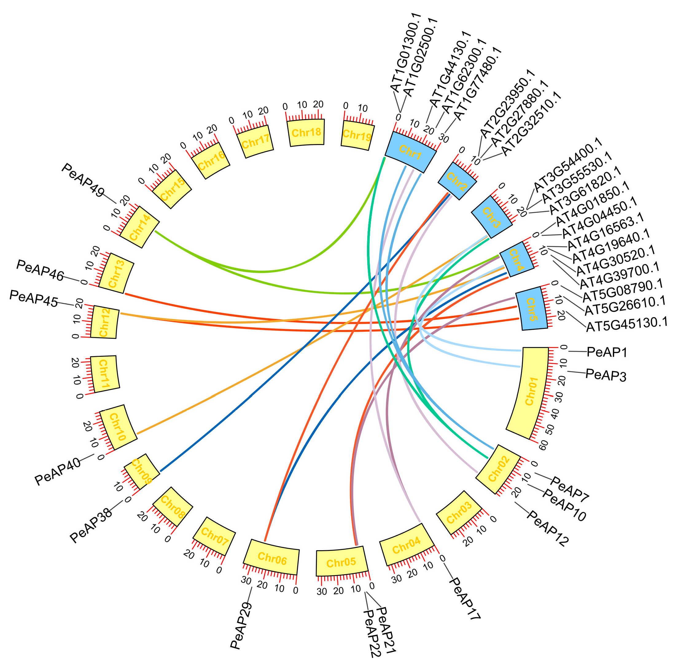 Plants 14 01930 g004