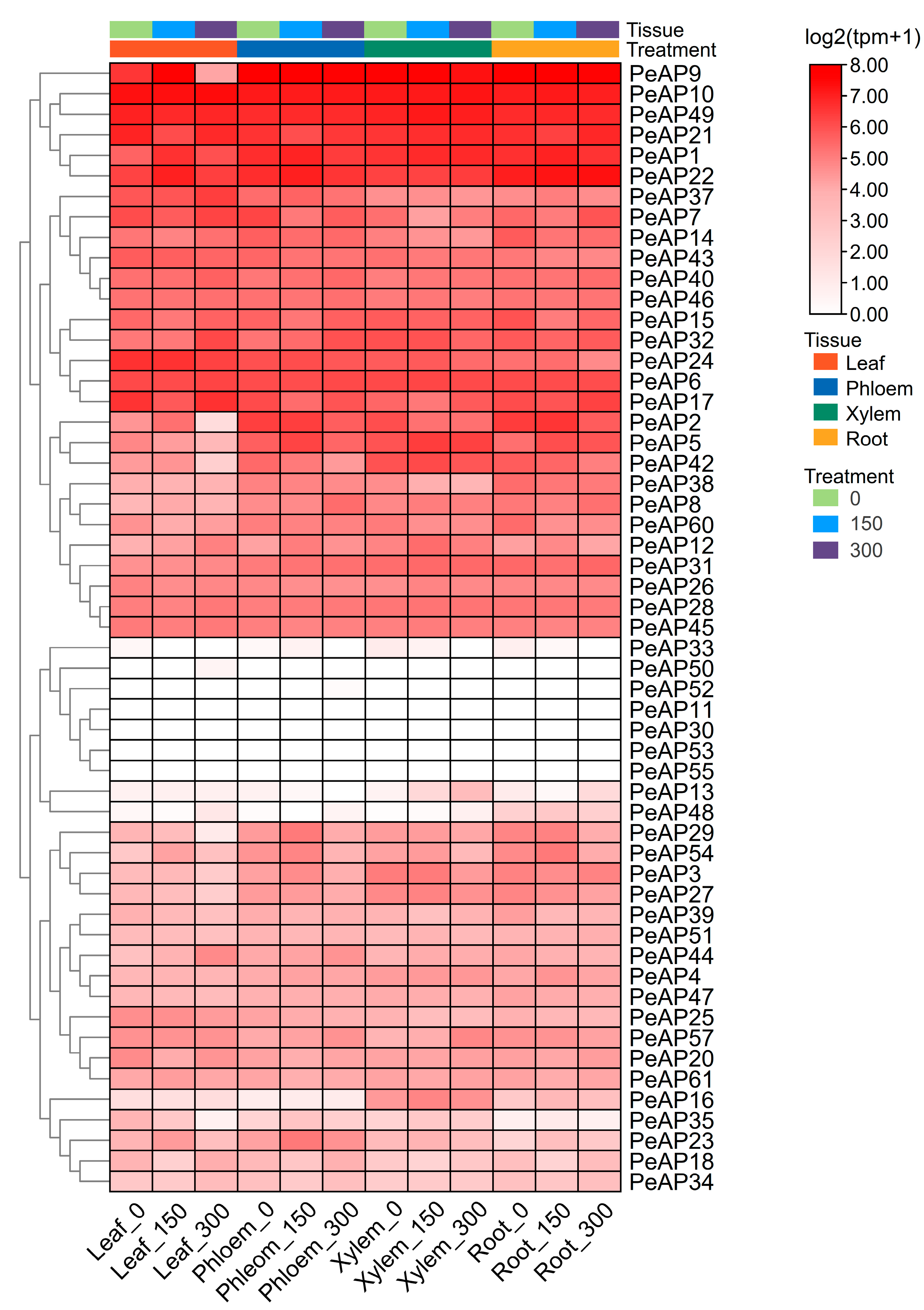 Plants 14 01930 g005