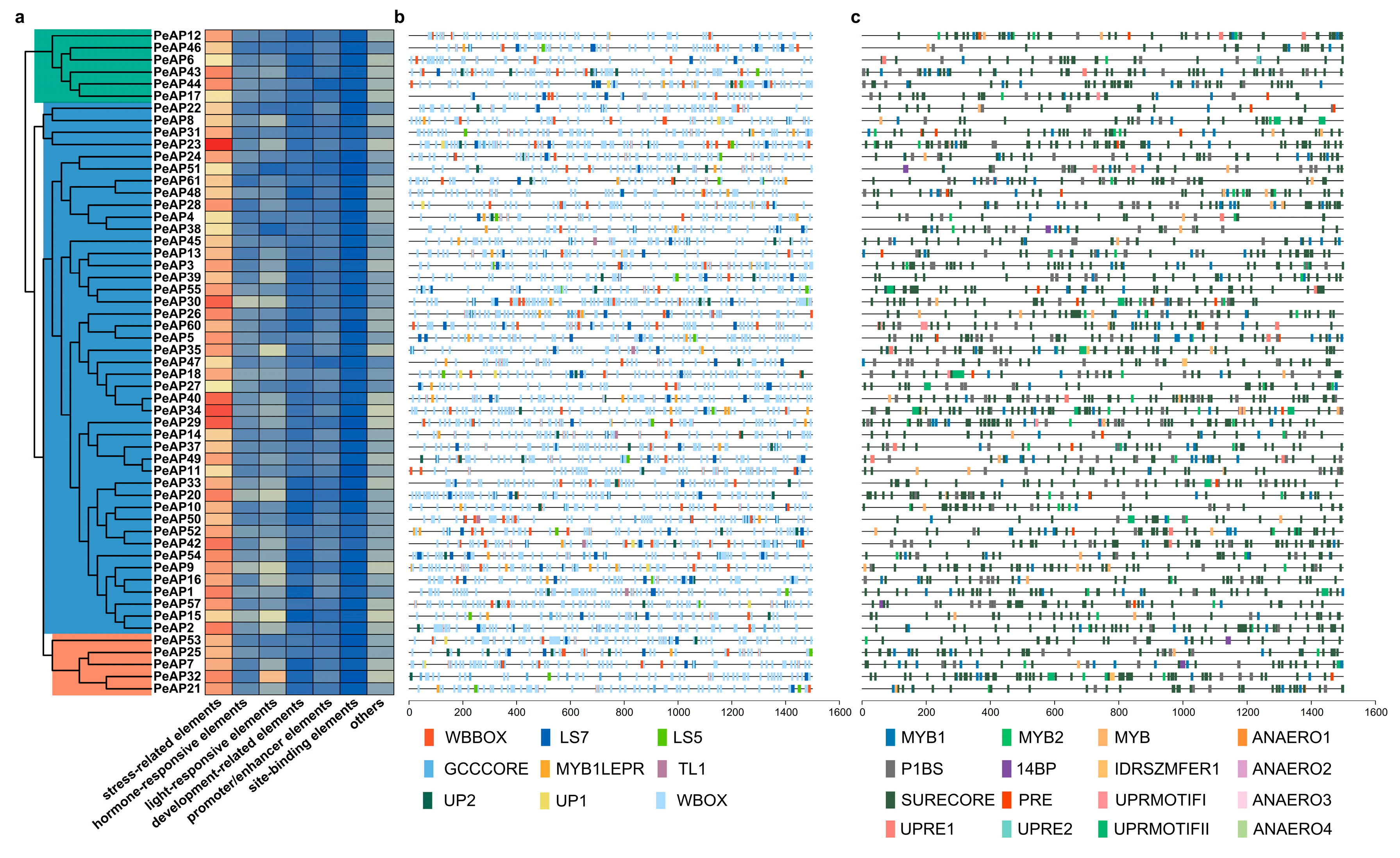 Plants 14 01930 g006