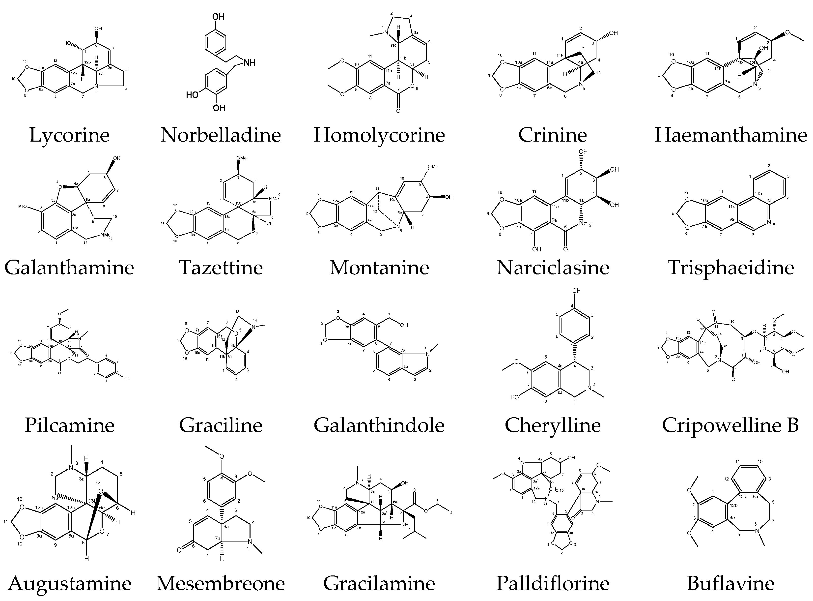 Plants 14 01935 g001