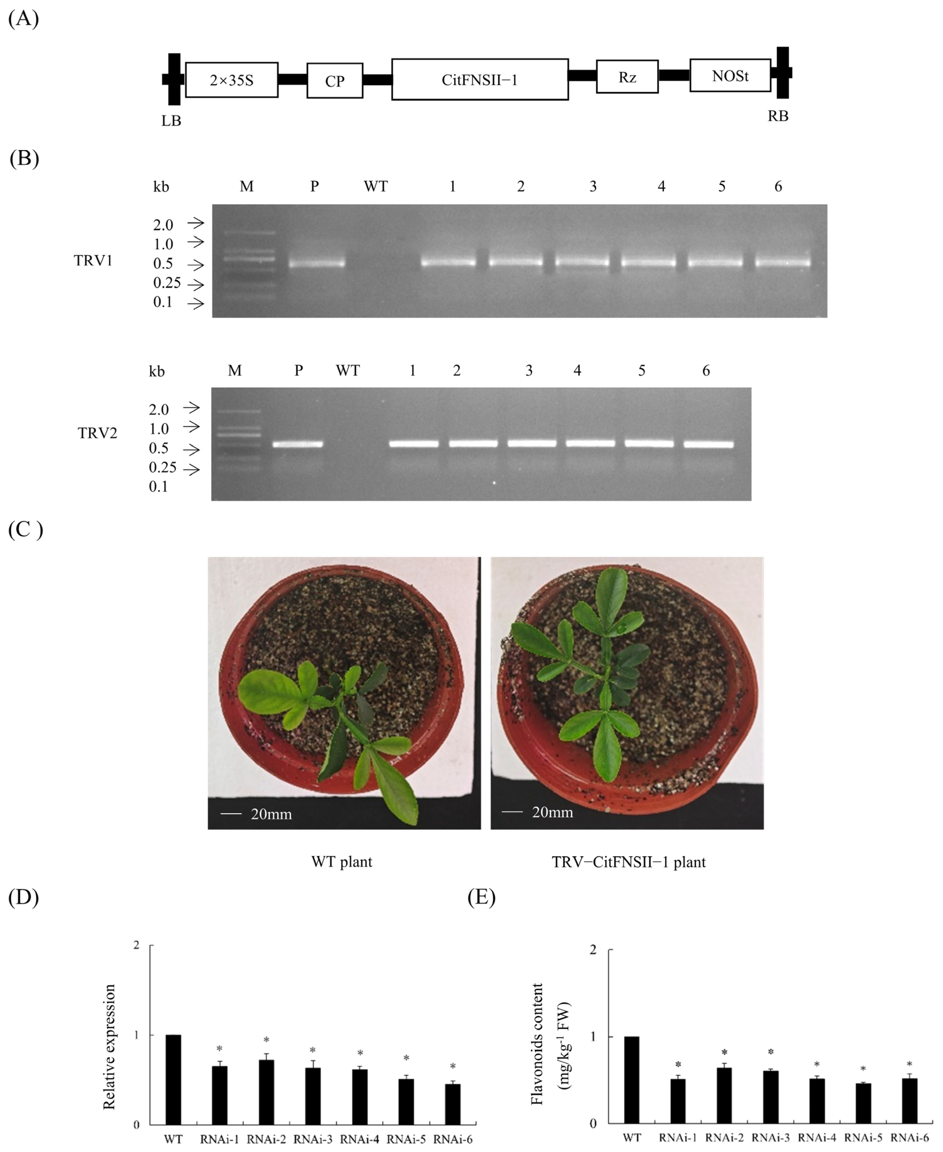 Plants 14 01936 g004