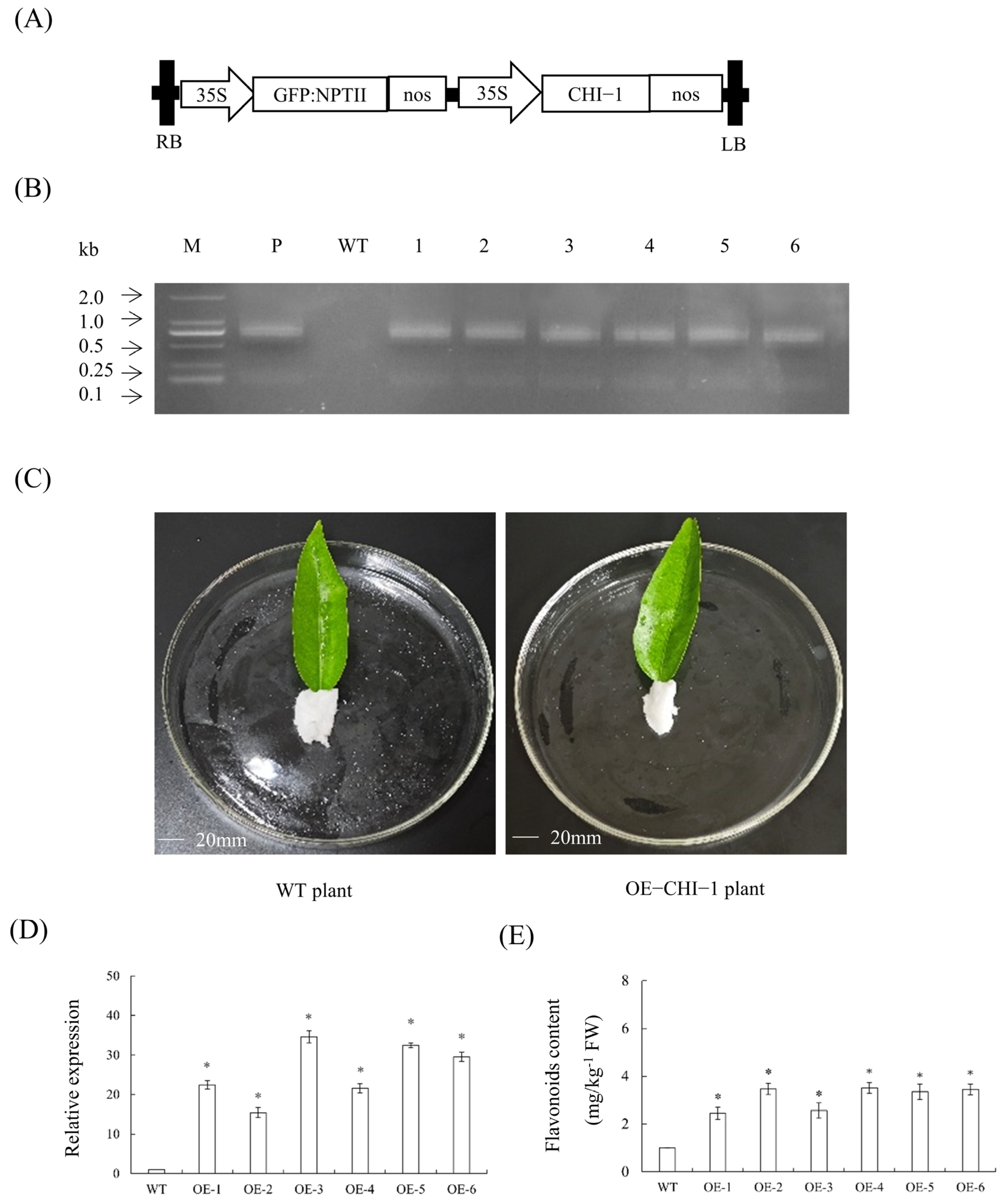 Plants 14 01936 g010