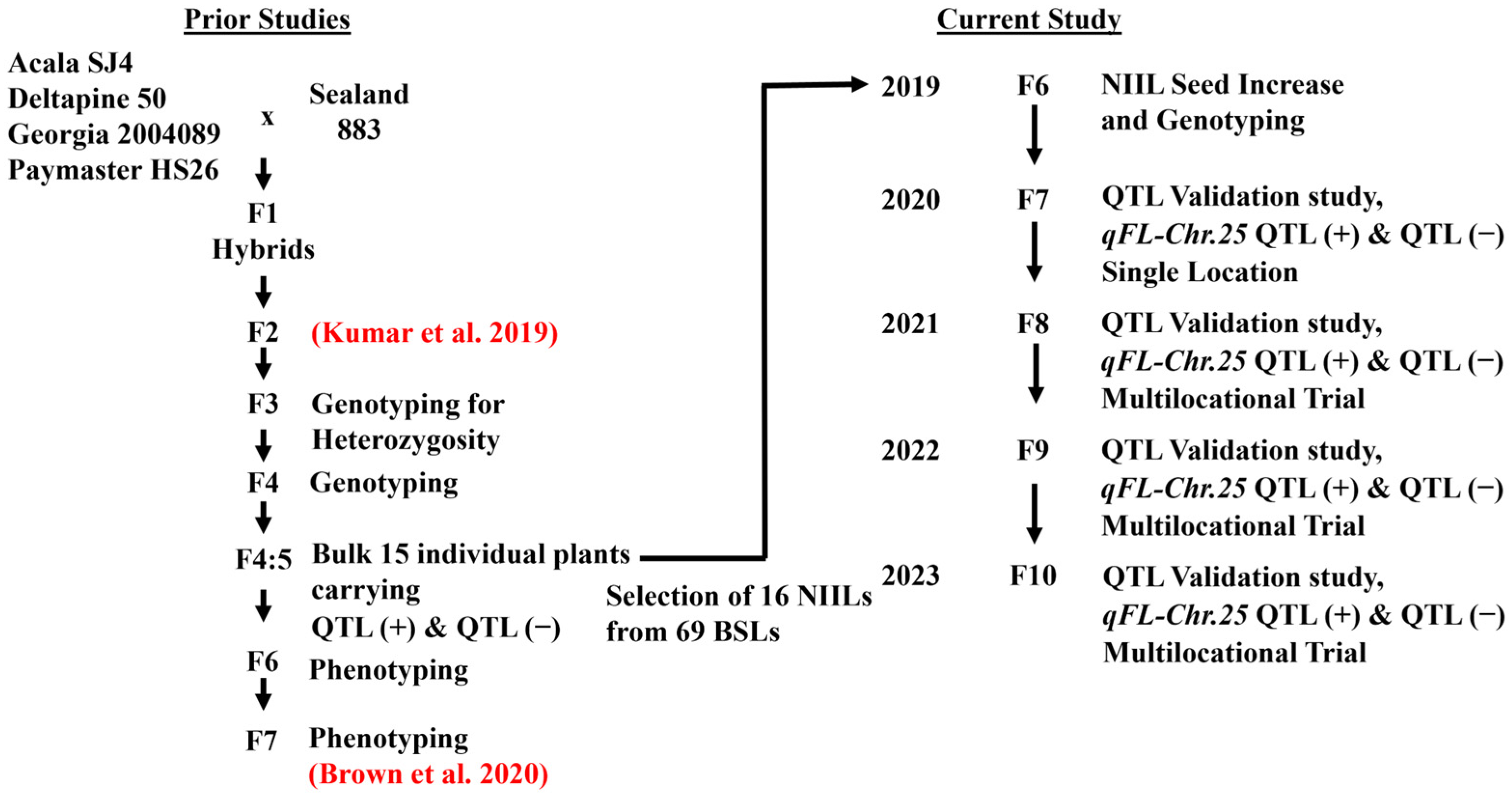 Plants 14 01937 g007