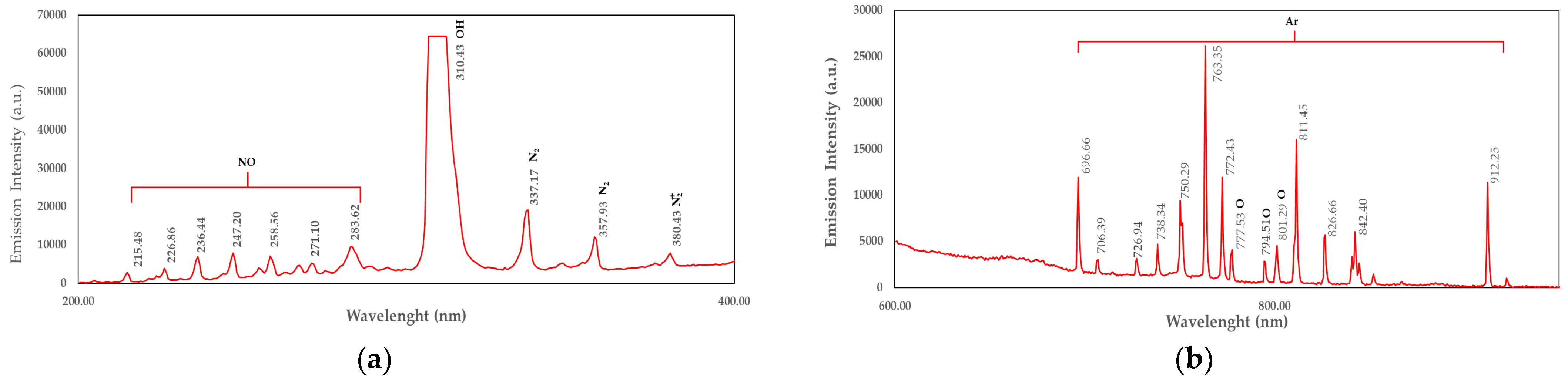 Plants 14 01938 g001