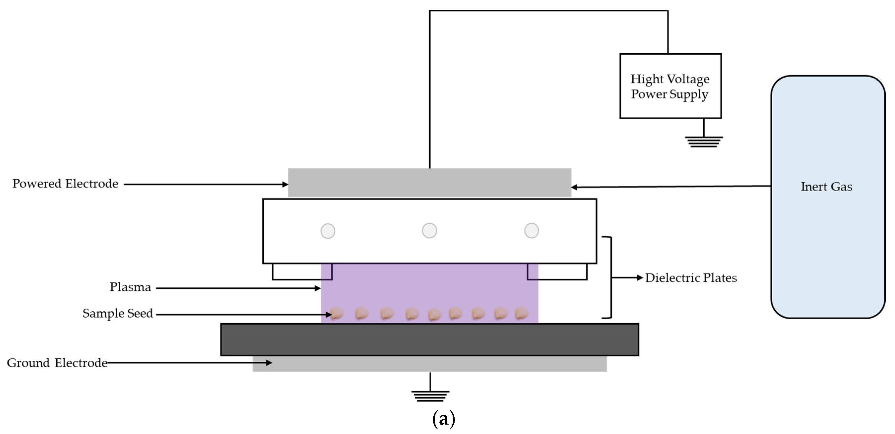 Plants 14 01938 g005a