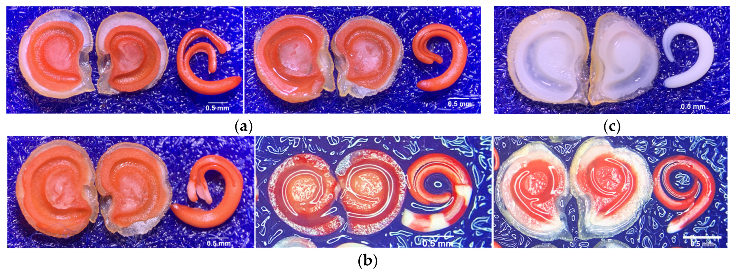 Plants 14 01938 g006