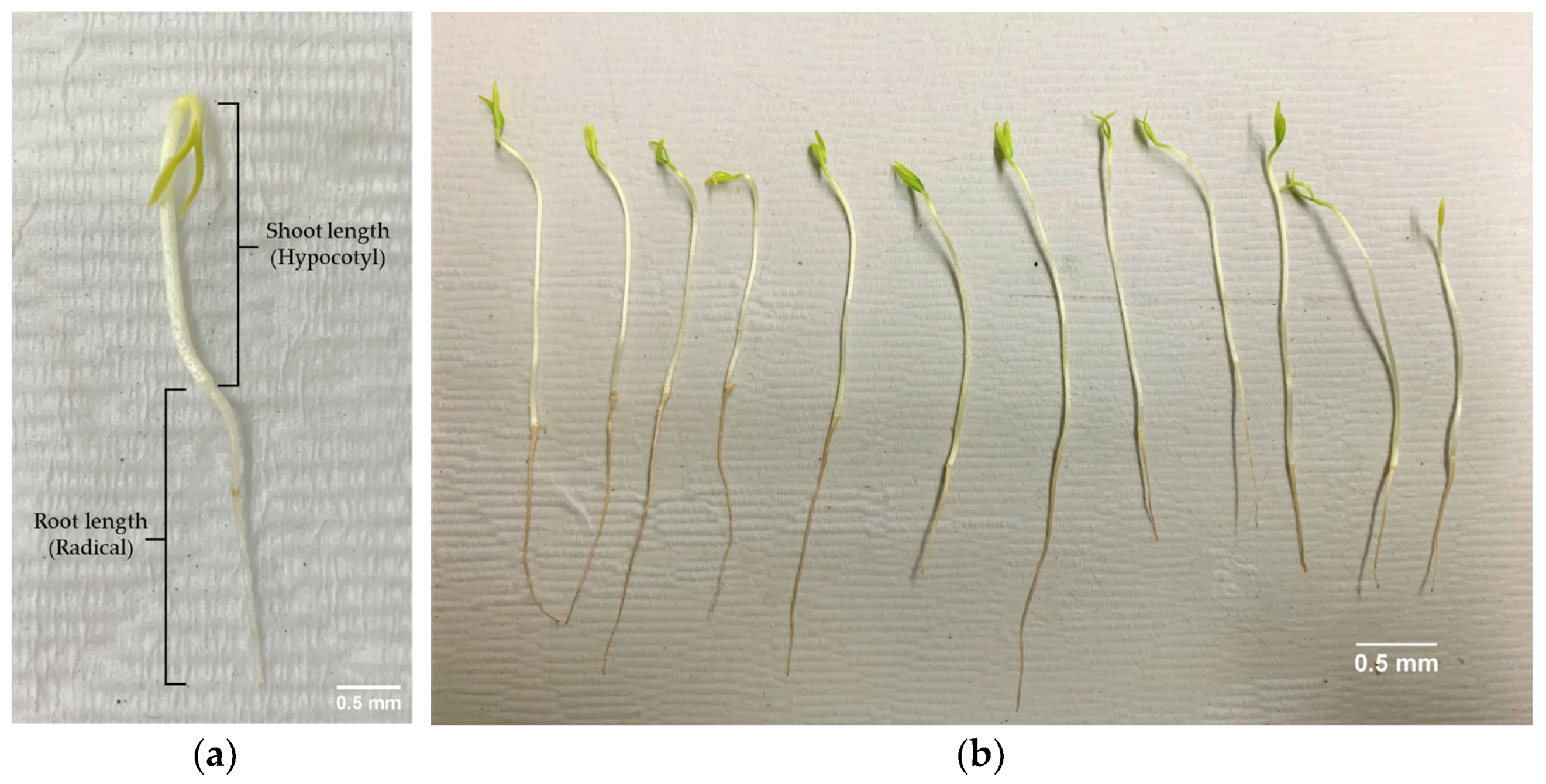 Plants 14 01938 g007