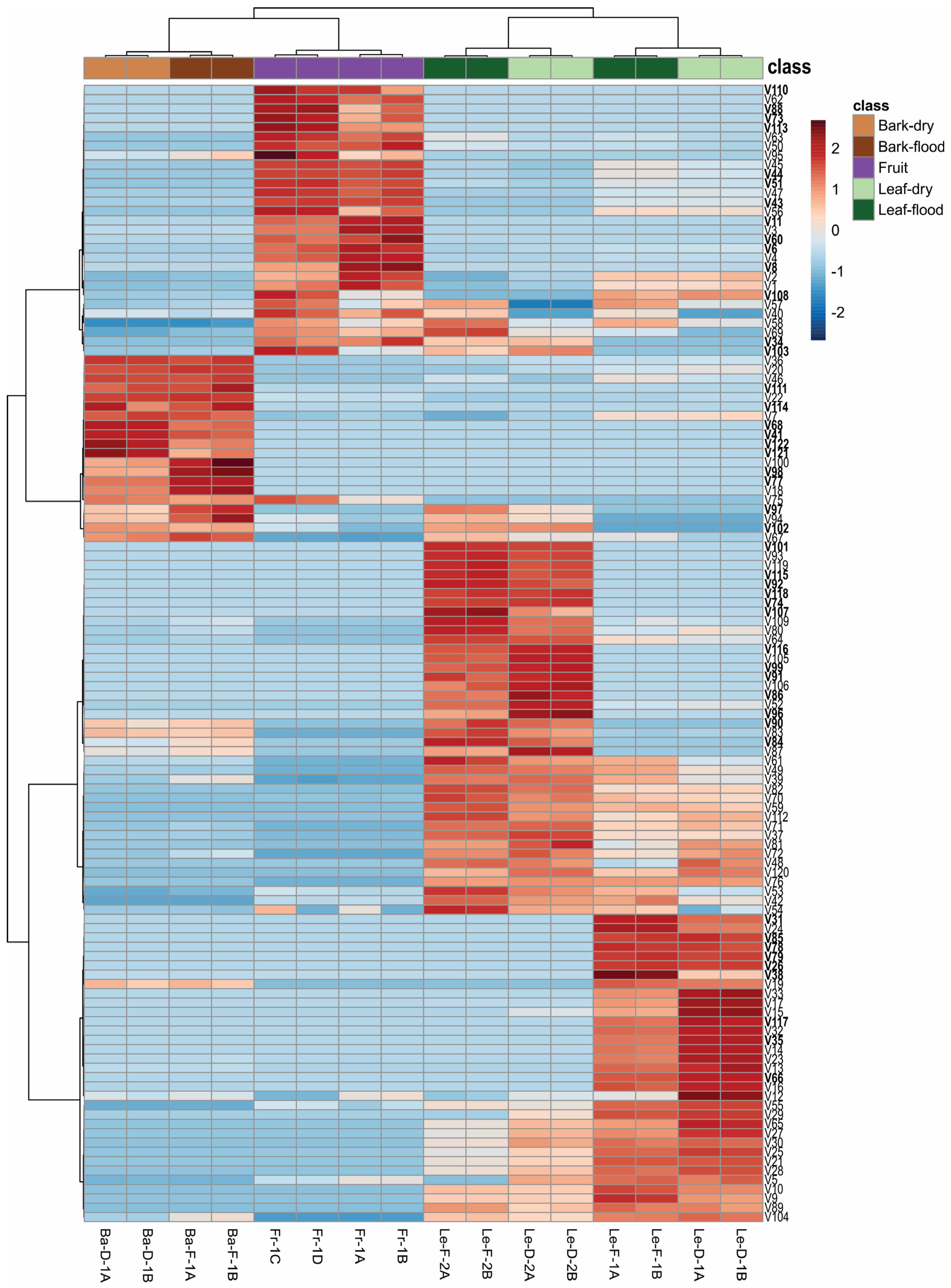 Plants 14 01939 g002