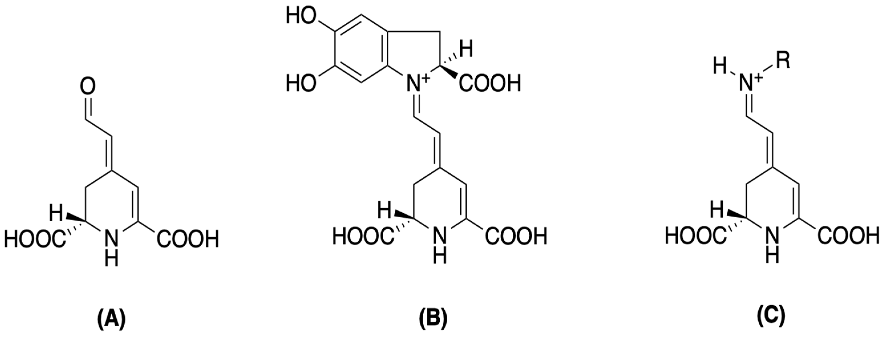 Plants 14 01940 g002