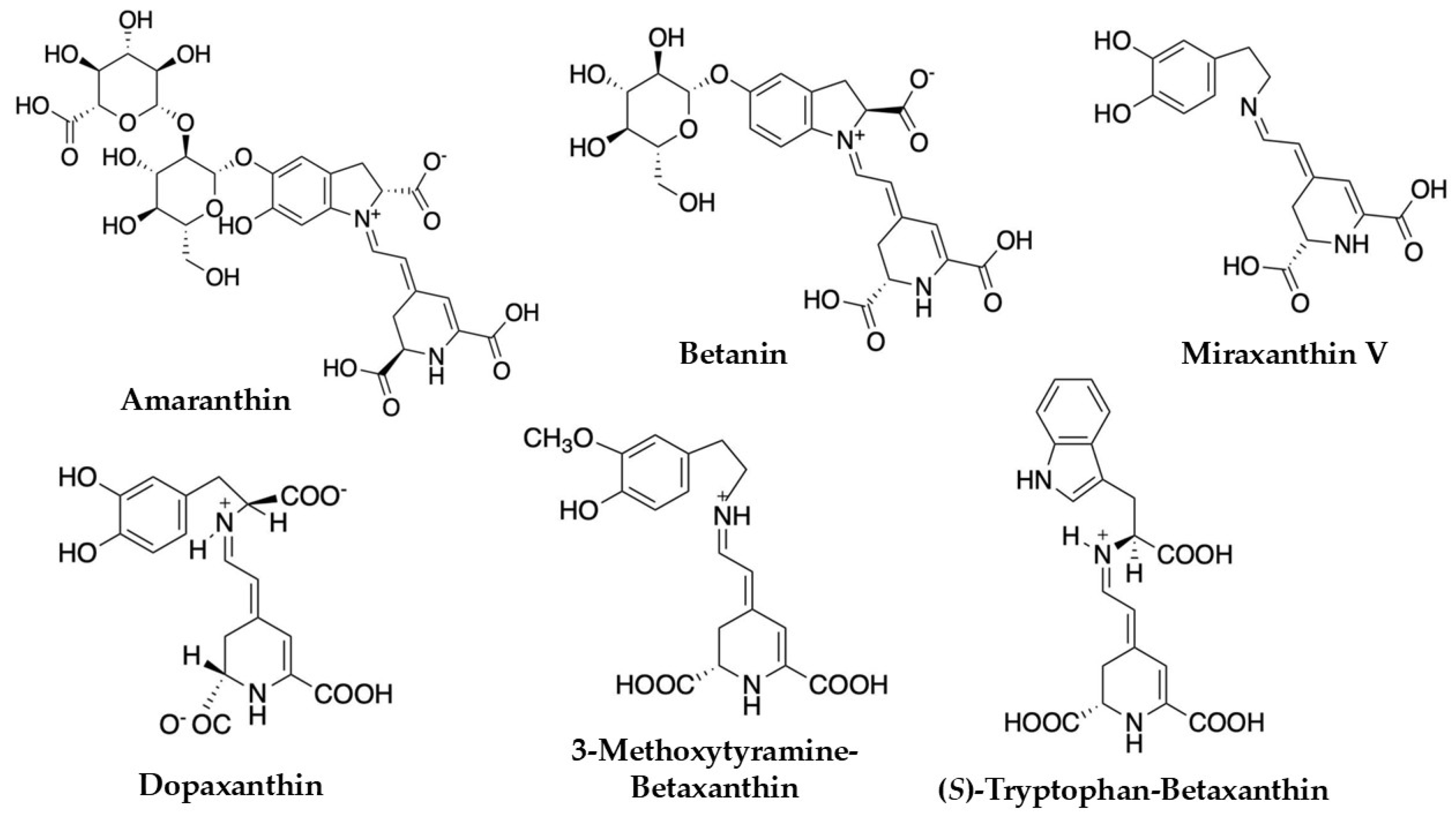 Plants 14 01940 g003