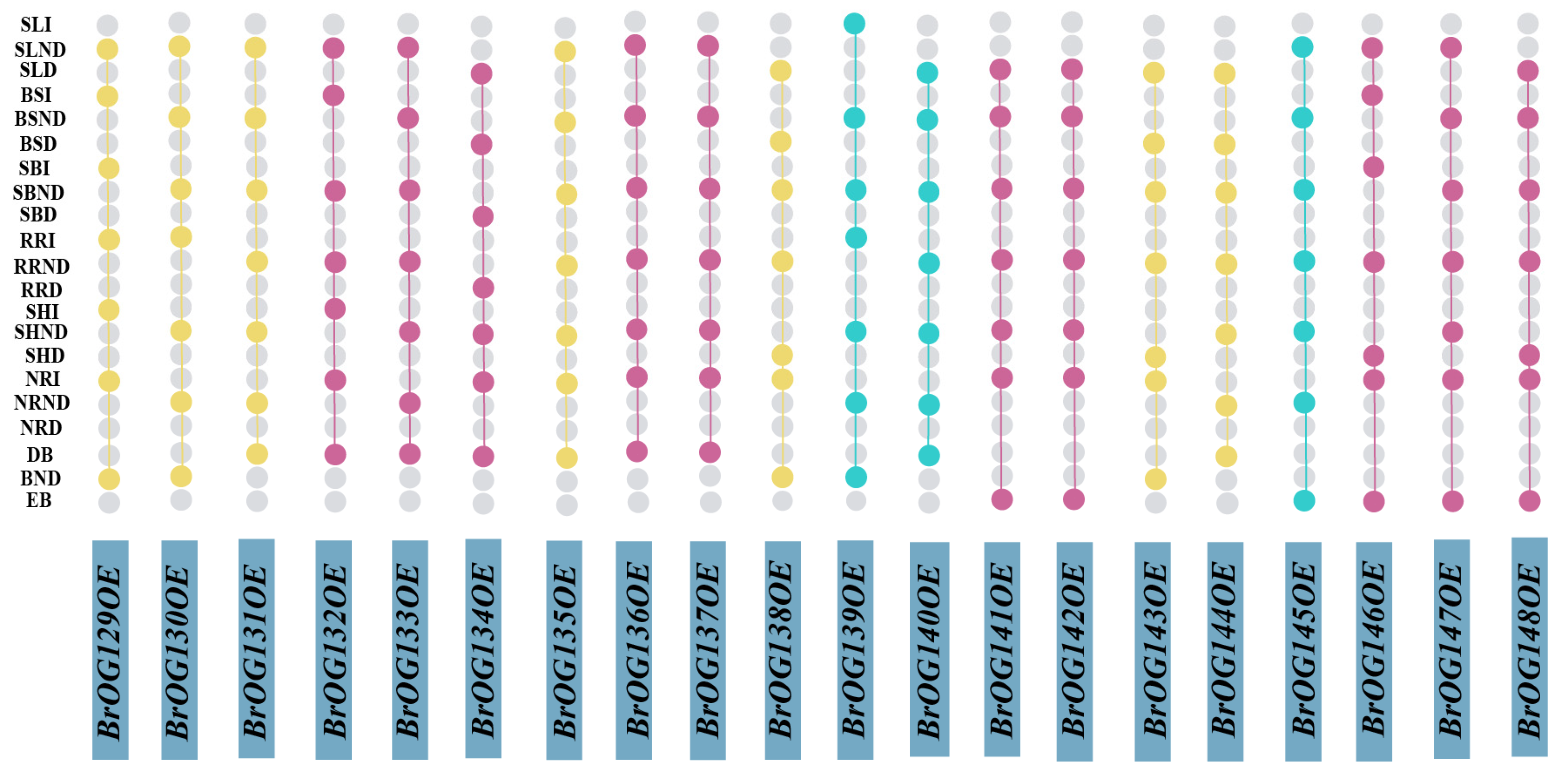 Plants 14 01947 g001