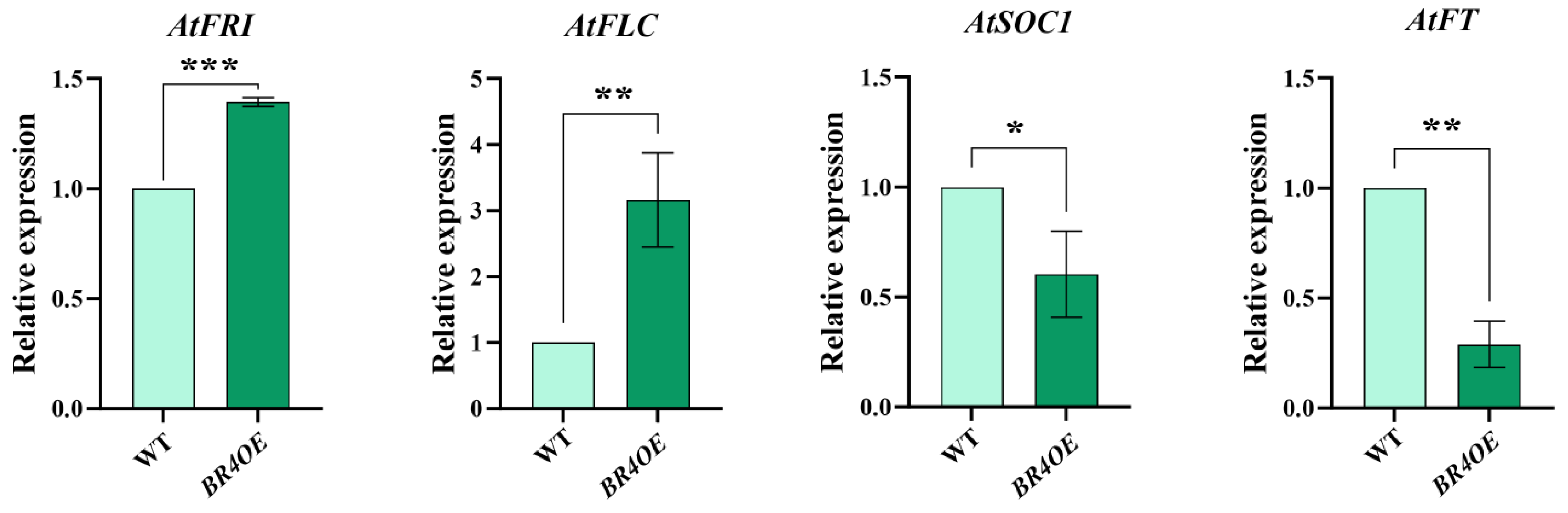 Plants 14 01947 g004