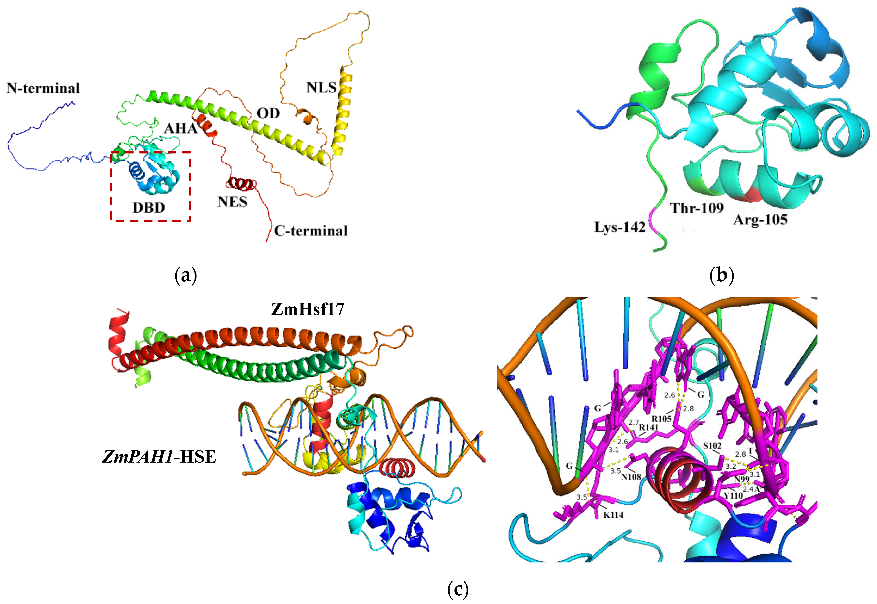 Plants 14 01950 g001