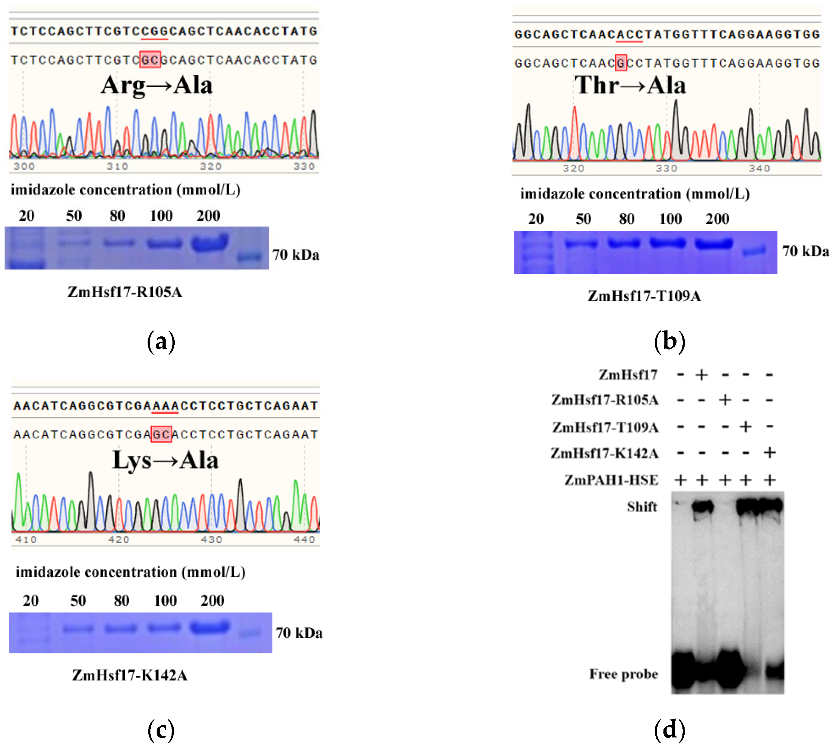 Plants 14 01950 g002